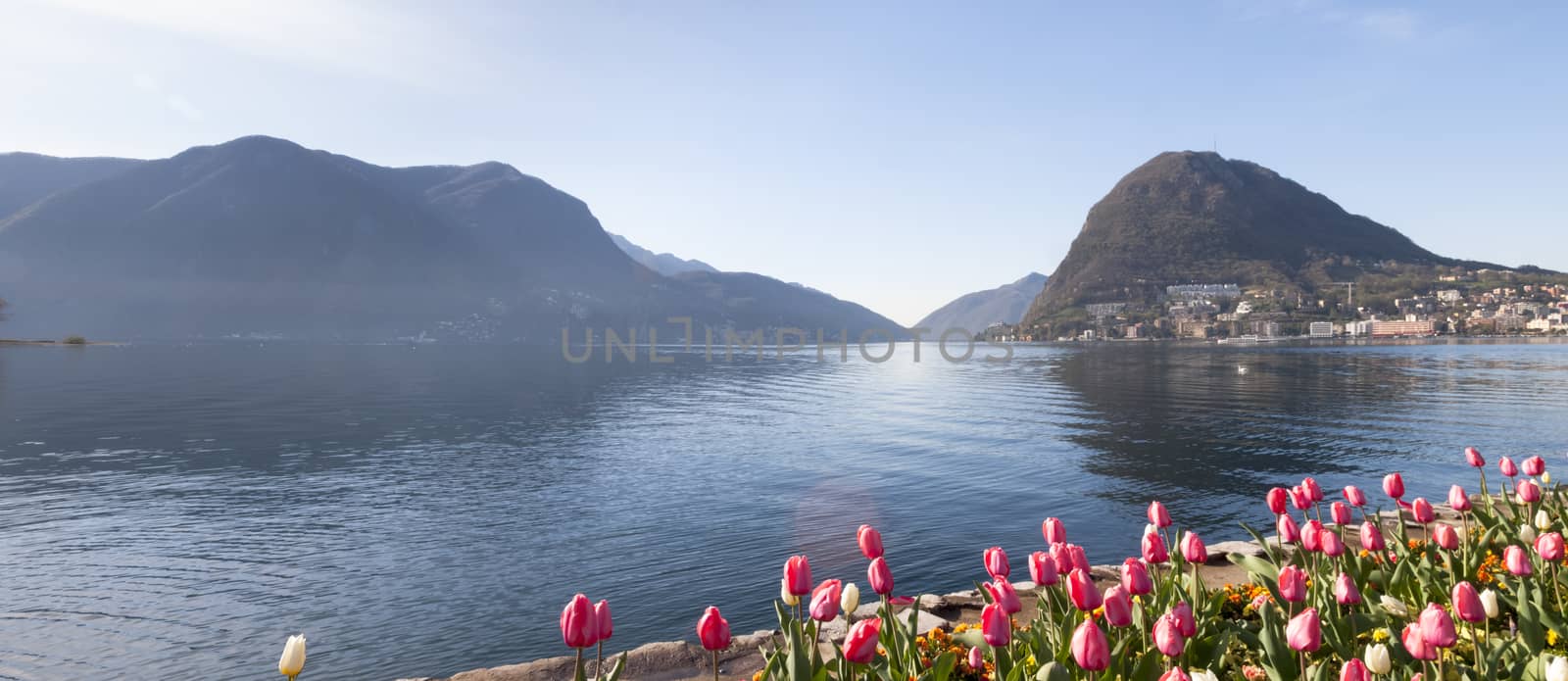Lugano, Switzerland: Parco Ciani, city garden with fresh flowers of the current season. Intense color of flowers on a fine spring day.