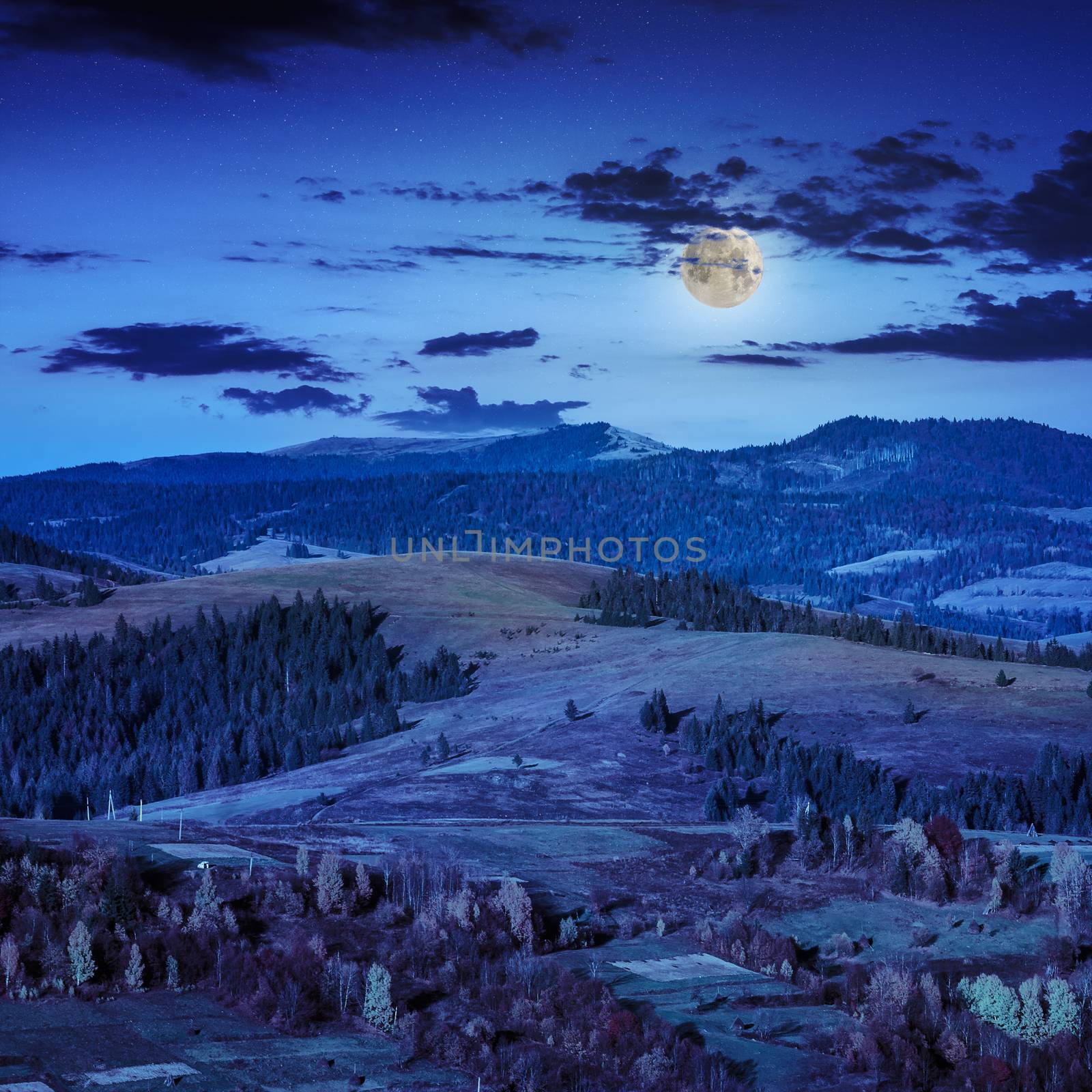  mountain steep slope with coniferous forest in moon light at midnight