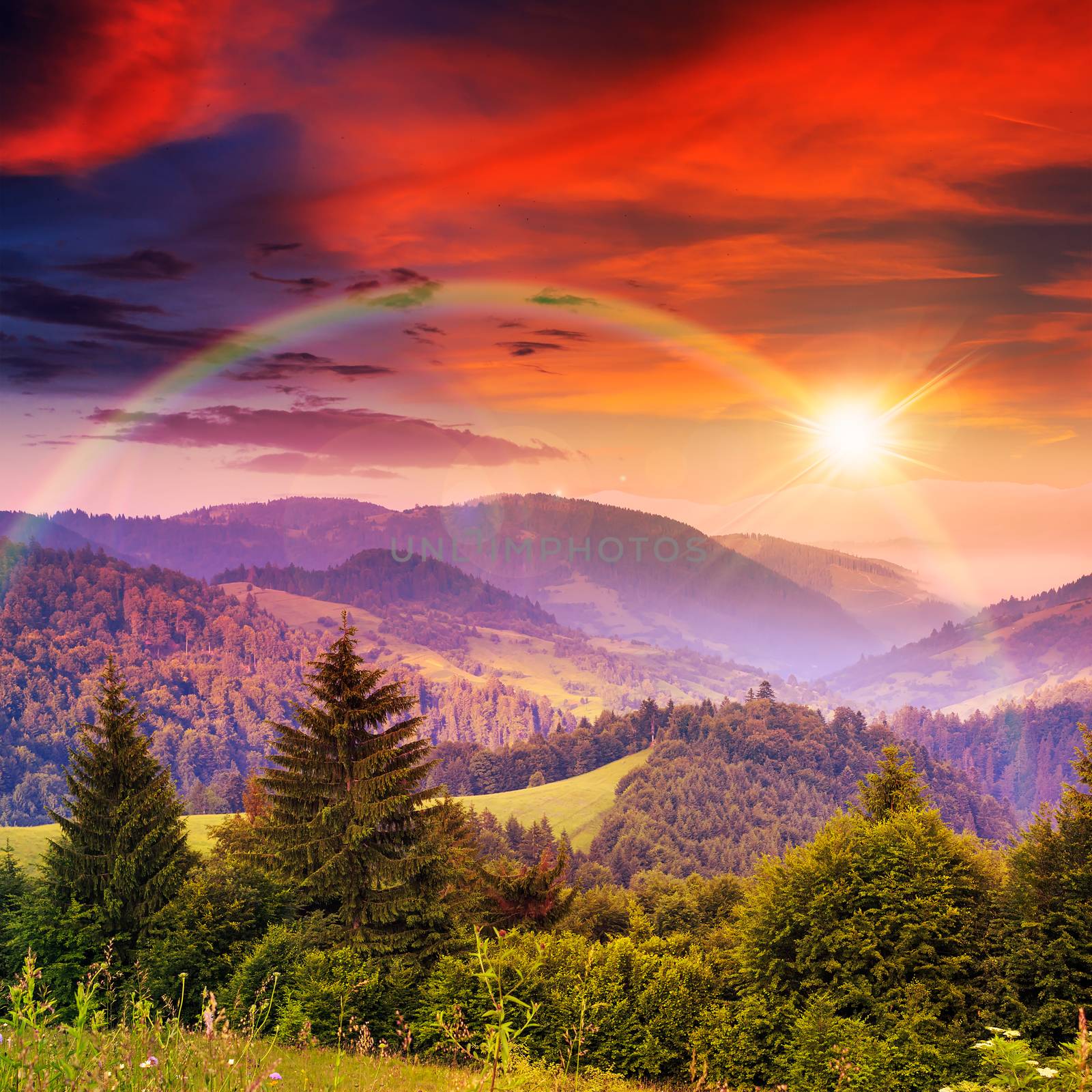 rainbow in coniferous forest on a steep mountain slope at sunset by Pellinni
