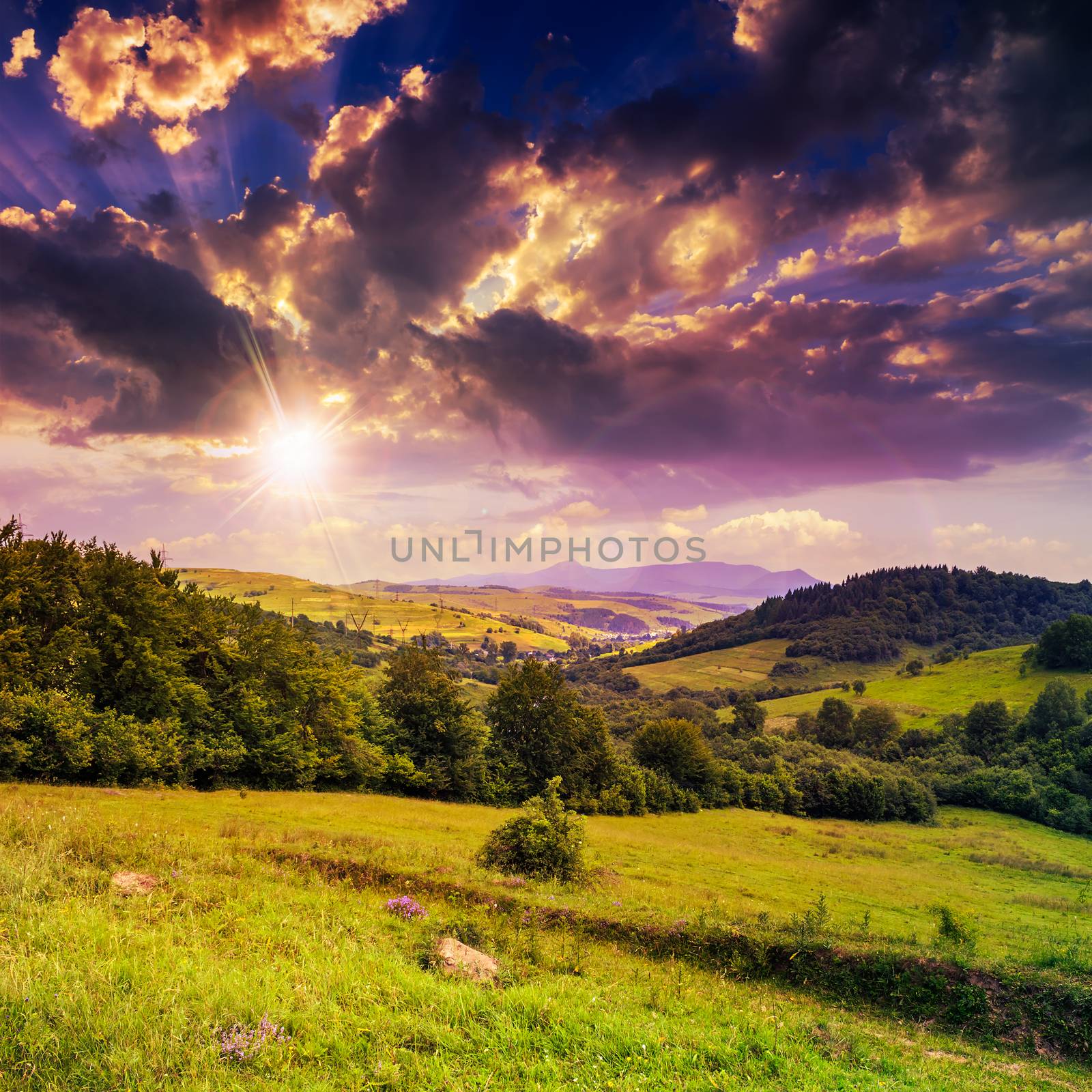 village on hillside meadow with forest in mountain at sunset by Pellinni
