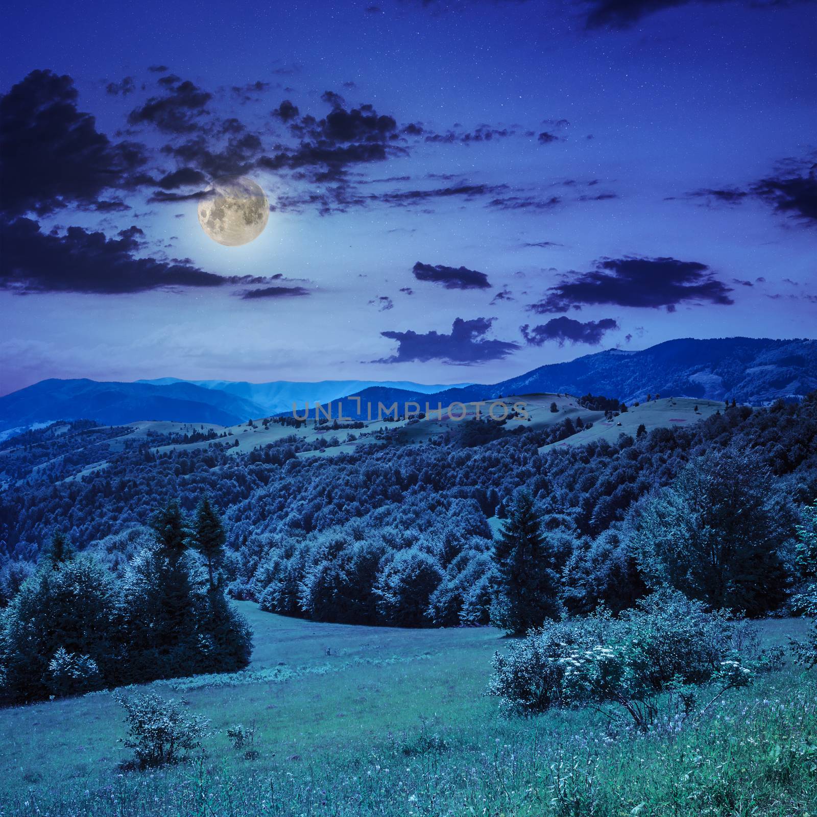  mountain steep slope with coniferous forest in moon light