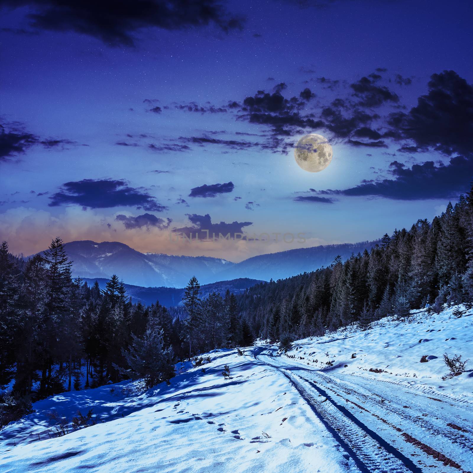 snowy road to coniferous forest in mountains at night by Pellinni