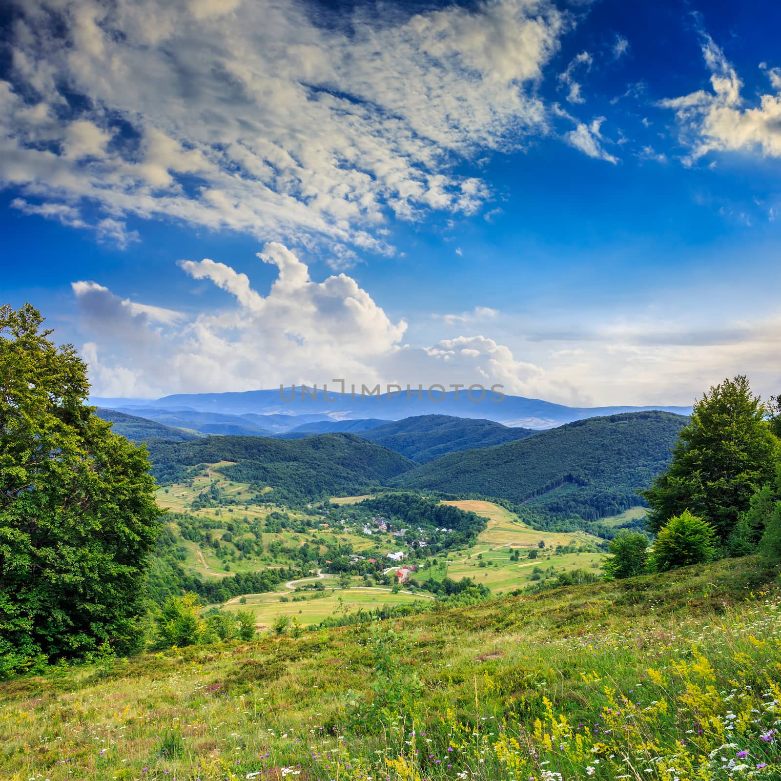 village on hillside meadow with forest in mountain by Pellinni