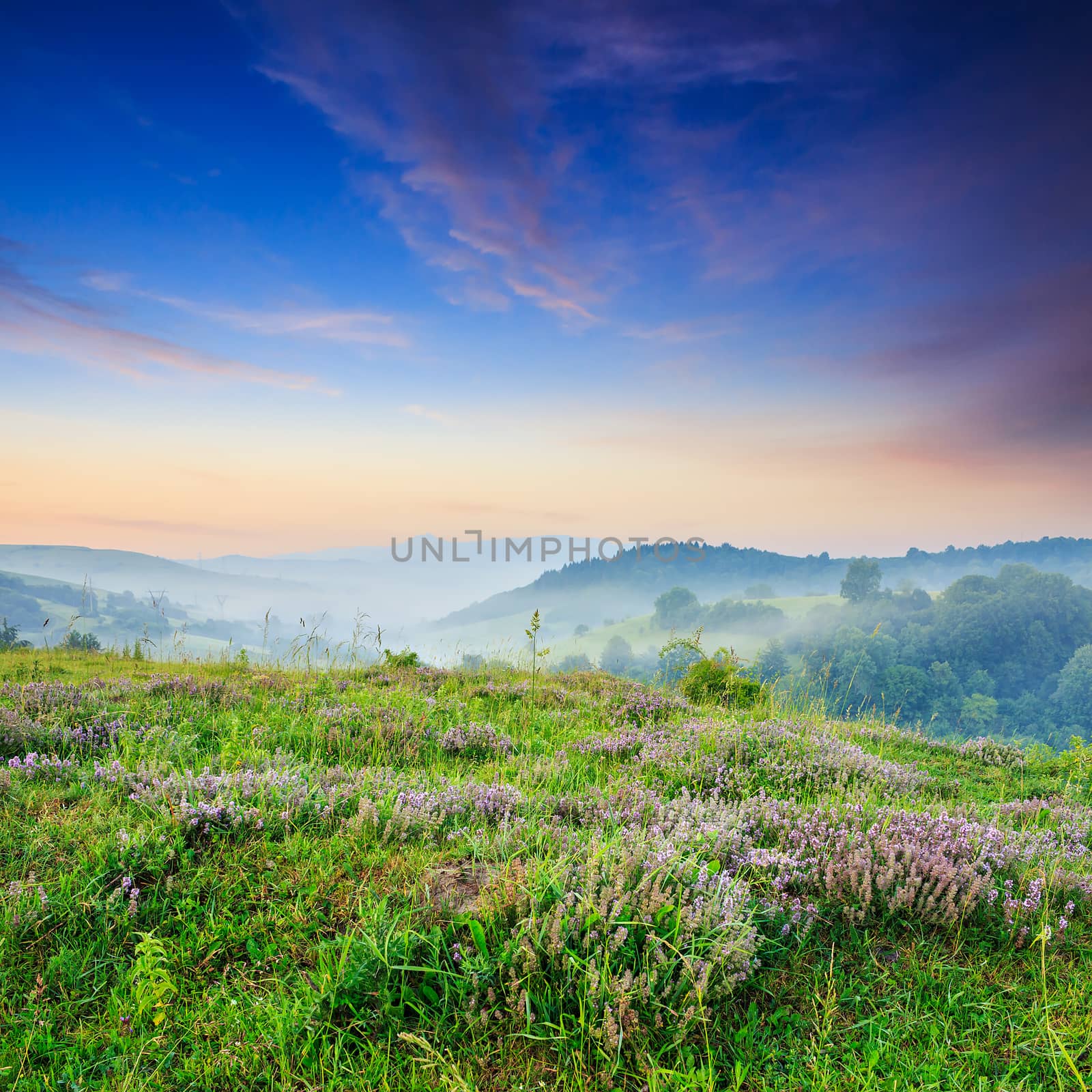 cold morning fog with red hot sunrise in the mountains