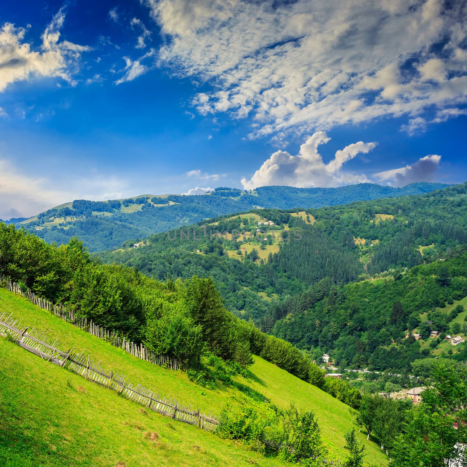 village on hillside meadow with forest in mountain by Pellinni