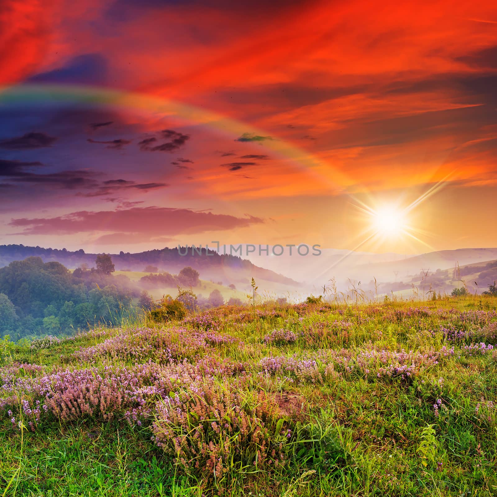 cold fog on hot sunset in mountains by Pellinni