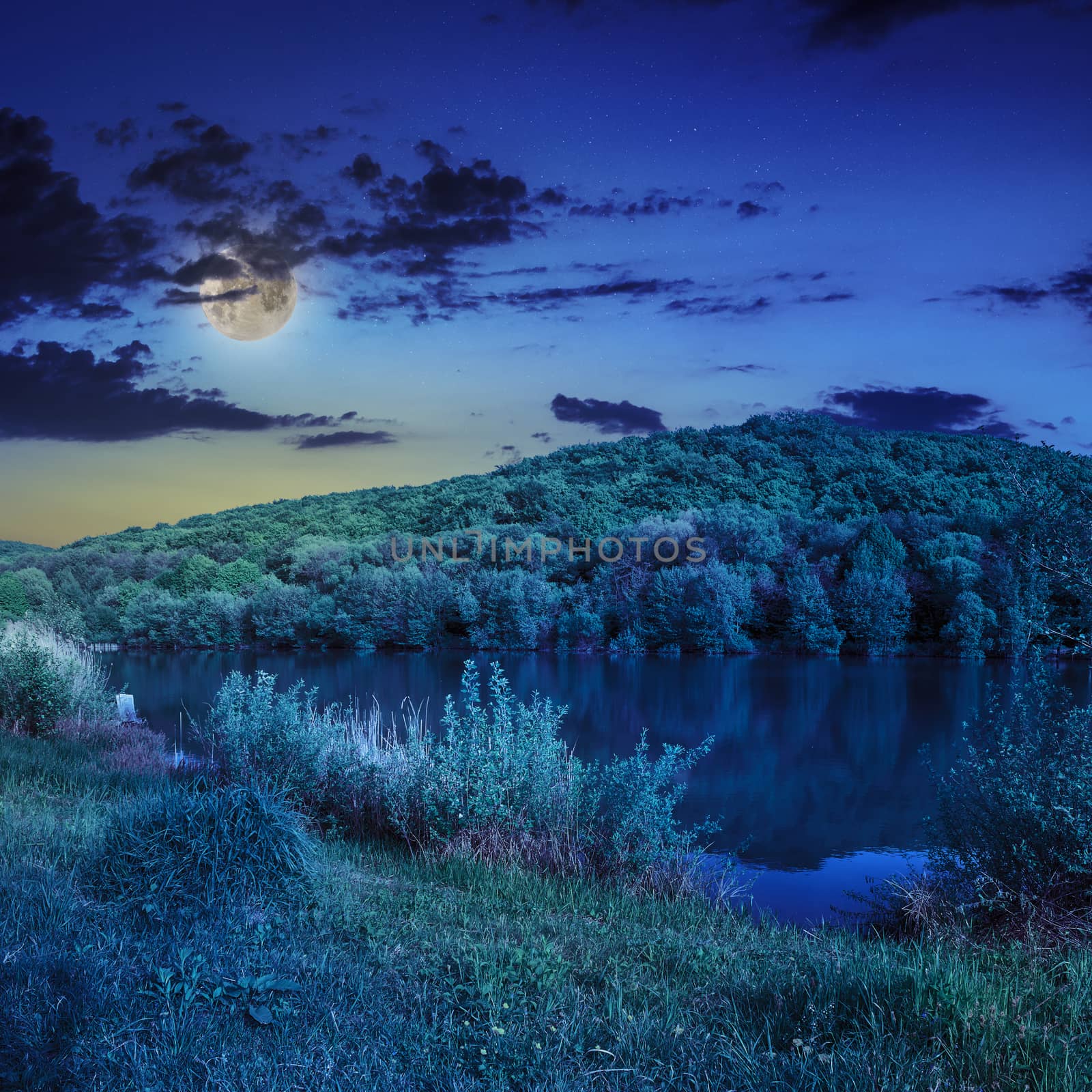 view on lake near the pine forest on mountain background  in moon light
