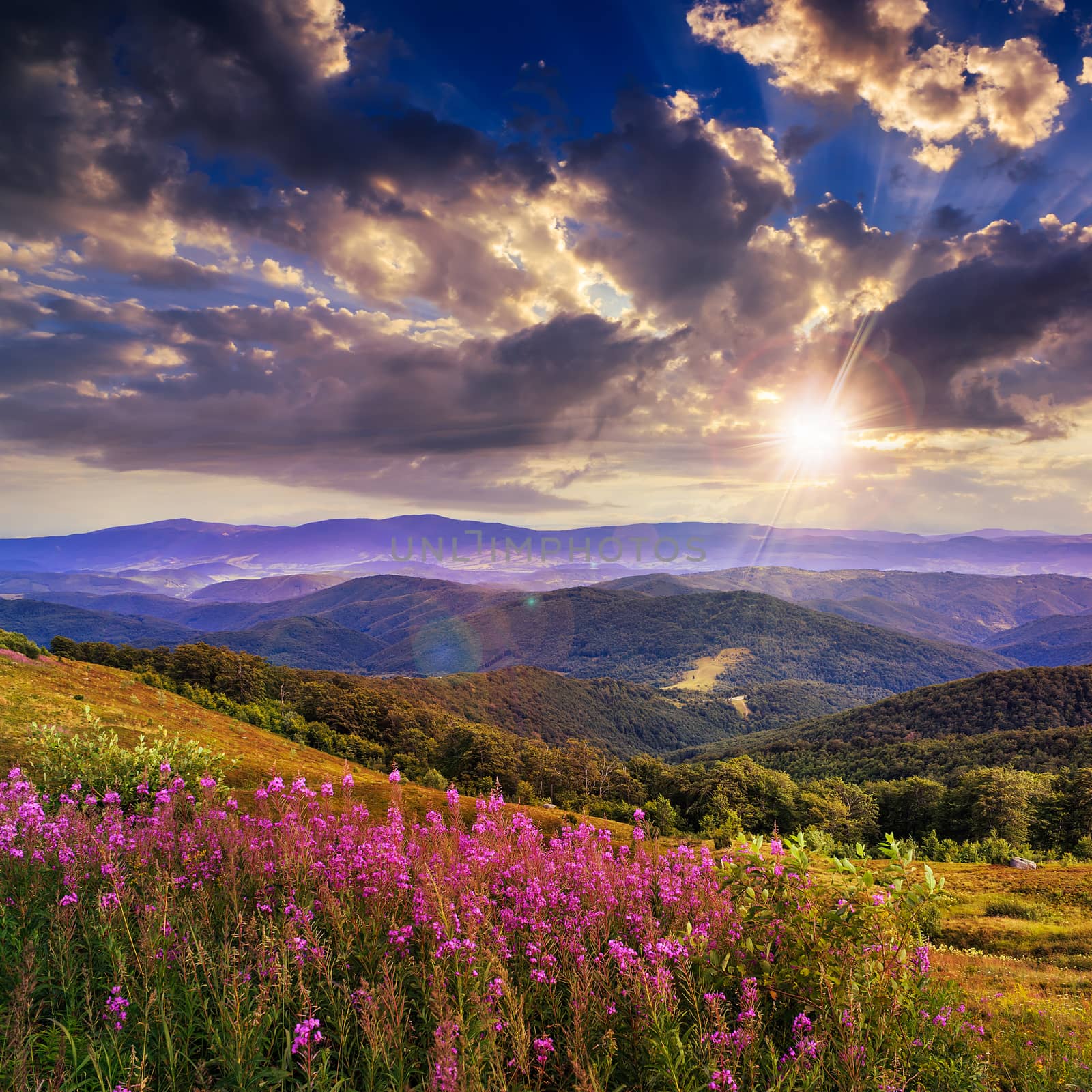 light on stone mountain slope with forest at sunset by Pellinni