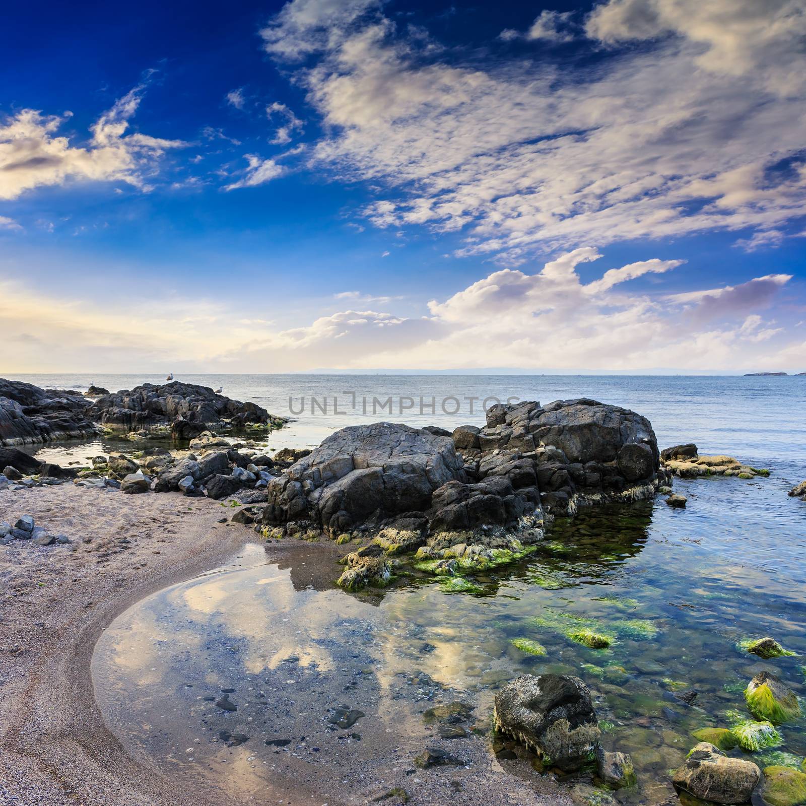 morning sea shore landscape with boulders sand and seaweed