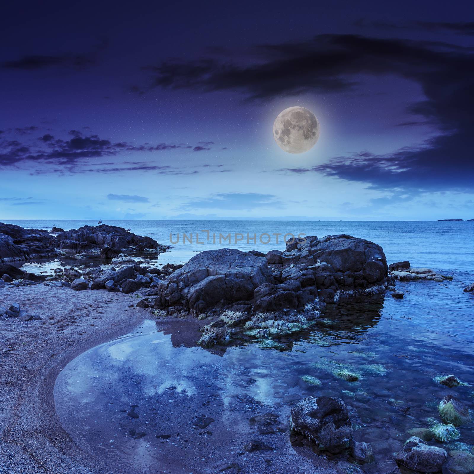 sea shore landscape with boulders sand and seaweed at night in moon light