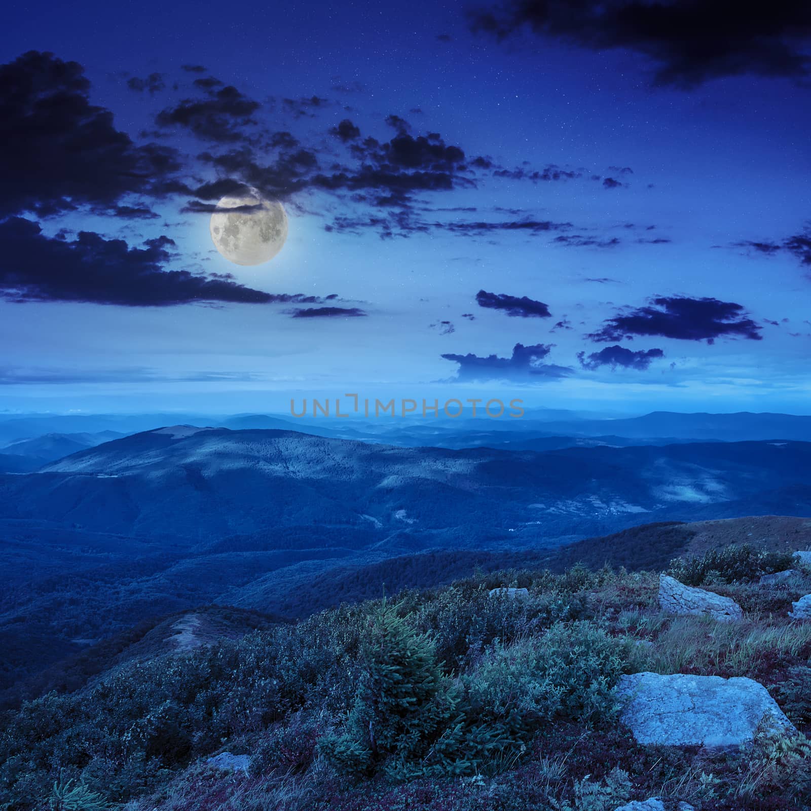 mountain landscape. valley with stones on the hillside. forest on the mountain under the moon light falls on a clearing at the top of the hill at night.