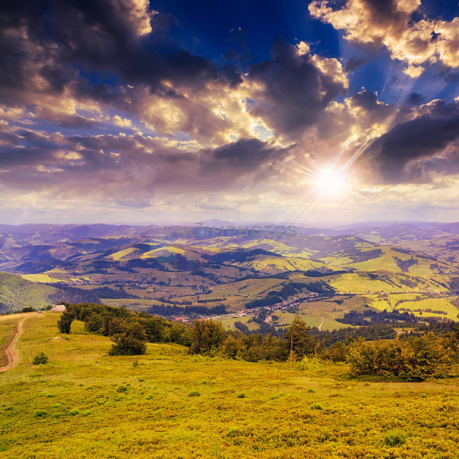  mountain steep slope with coniferous forest at sunset