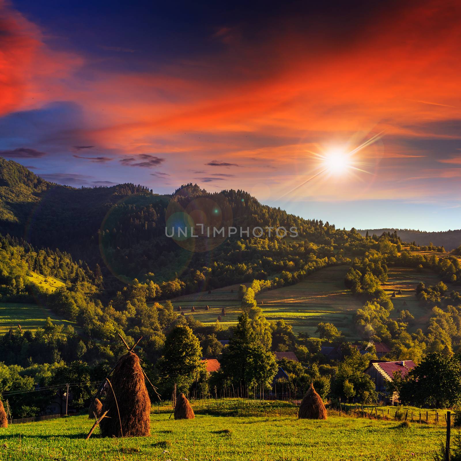 field near home at sunset by Pellinni