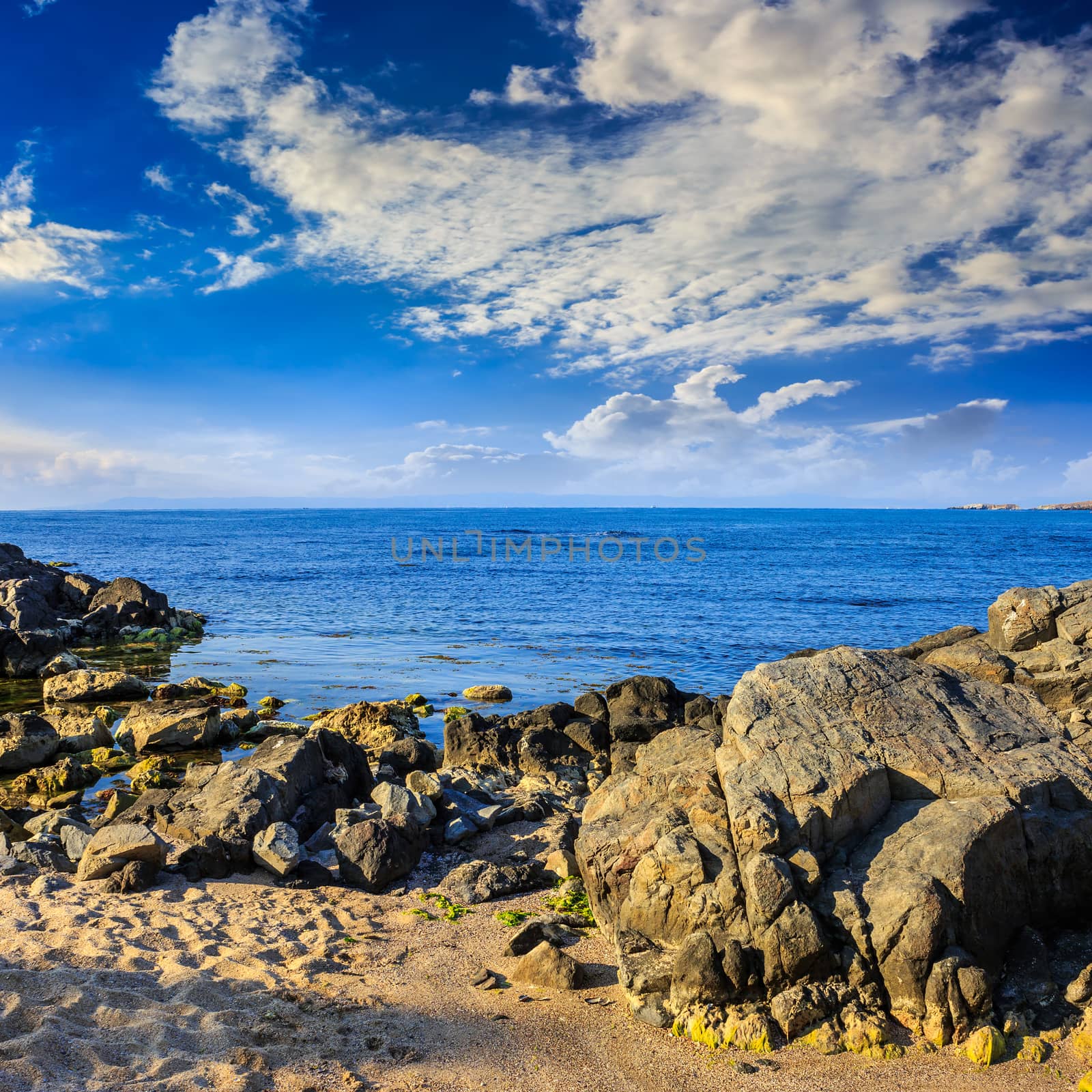 sea waves breaking on the sandy beach by Pellinni