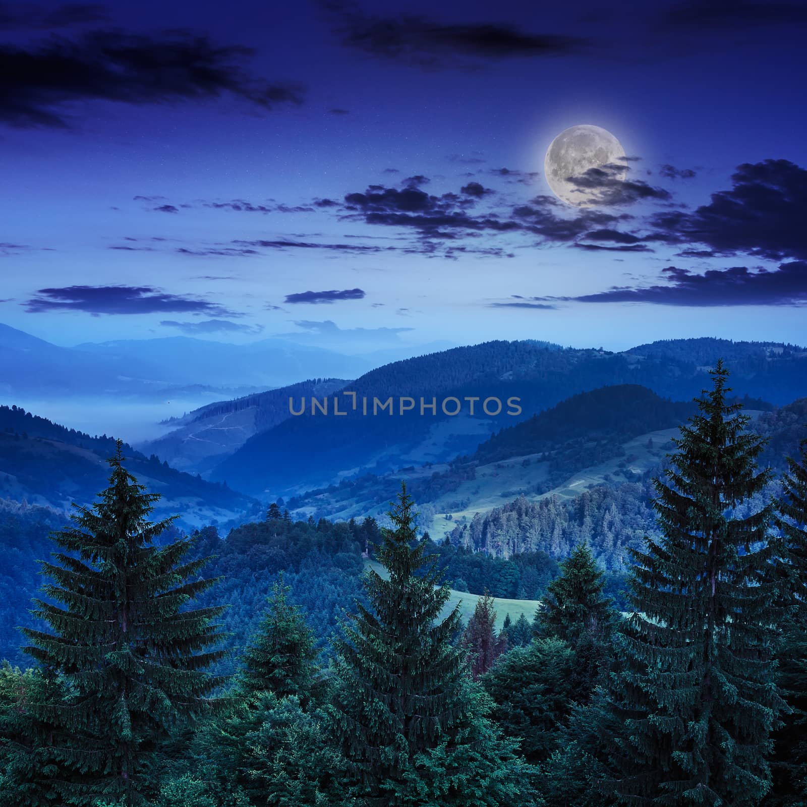 mountain landscape pine trees near valley and colorful forest on hillside under blue sky with clouds and fog in moon light at night