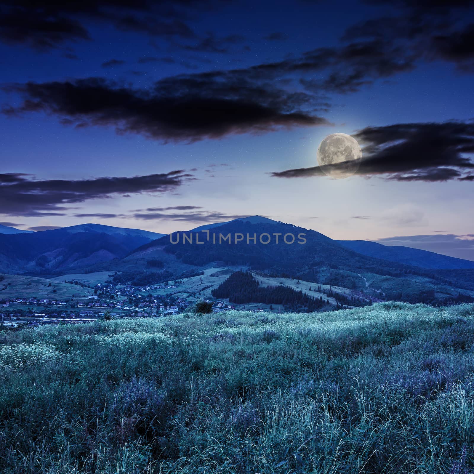 mountain summer landscape. pine trees near meadow and forest on hillside under  sky with clouds at night