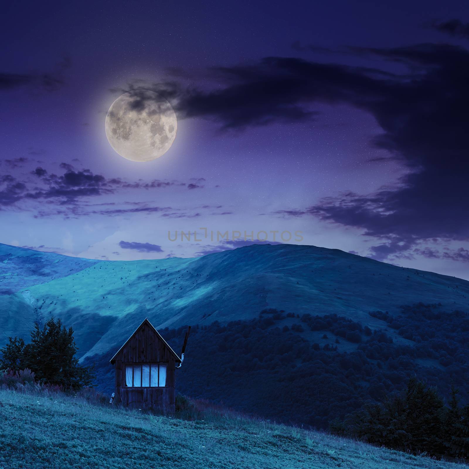 village on hillside meadow with forest in mountain at night by Pellinni