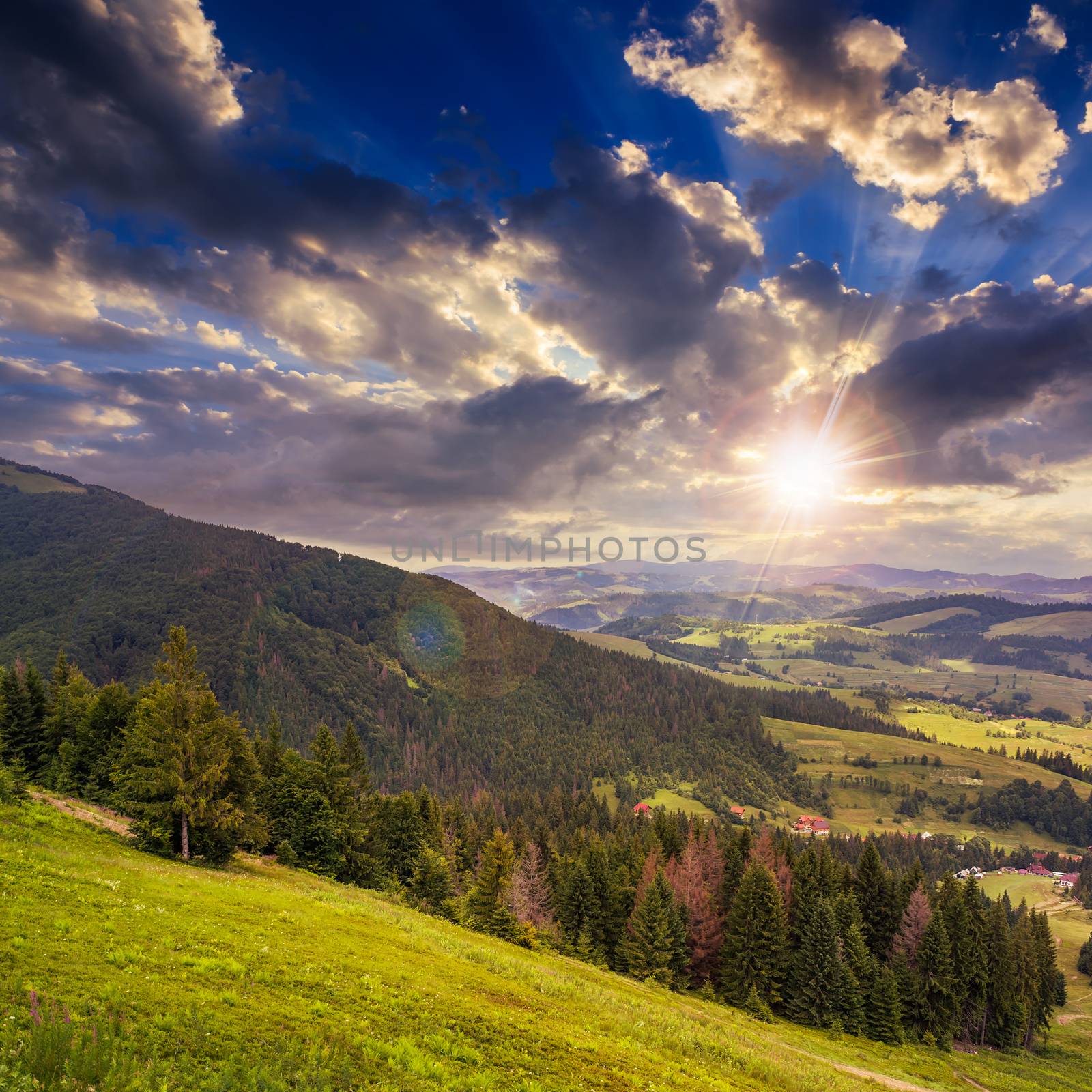  mountain steep slope with coniferous forest at sunset
