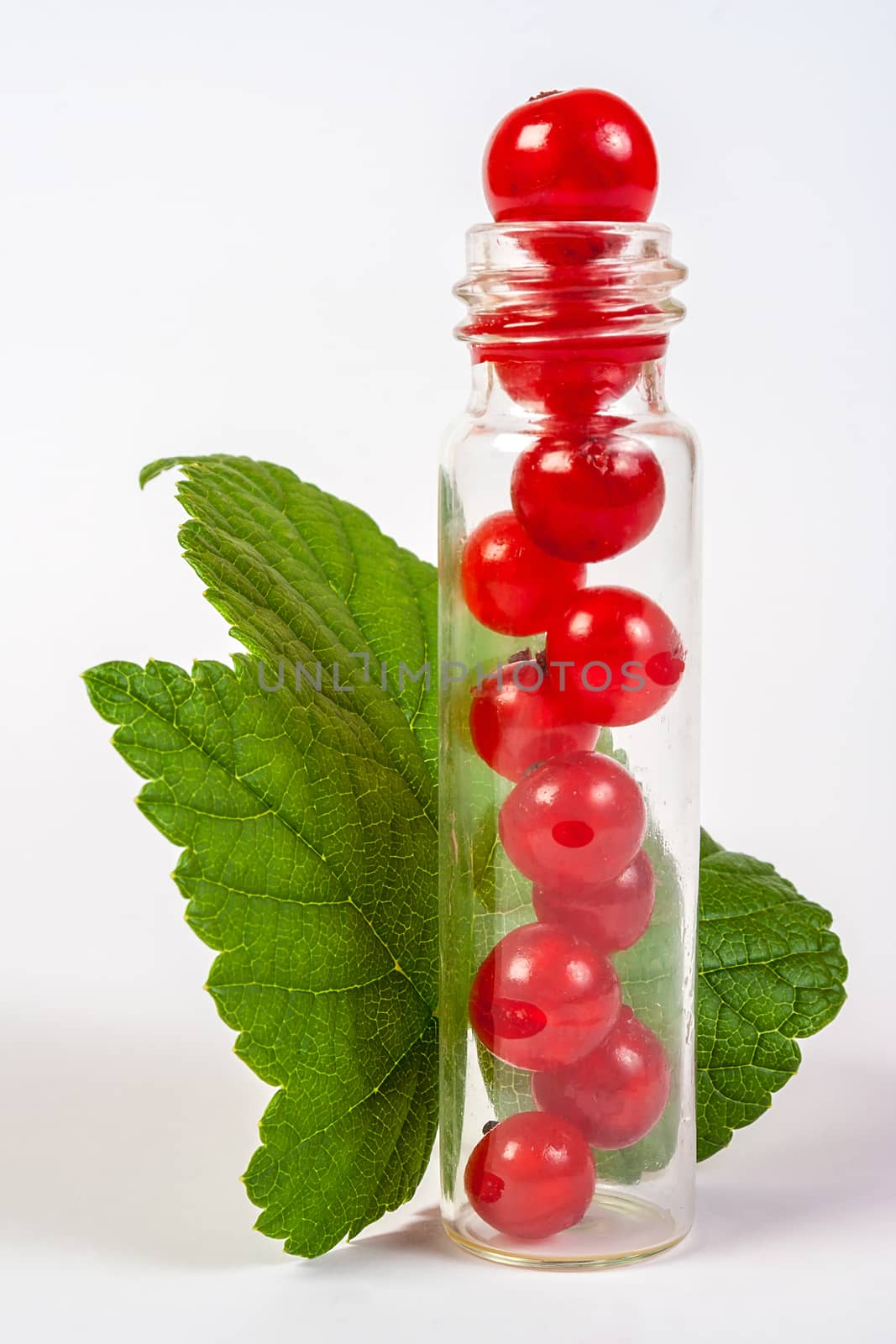 natural cosmetics concept  made of redcurrant   on white background with green leafs