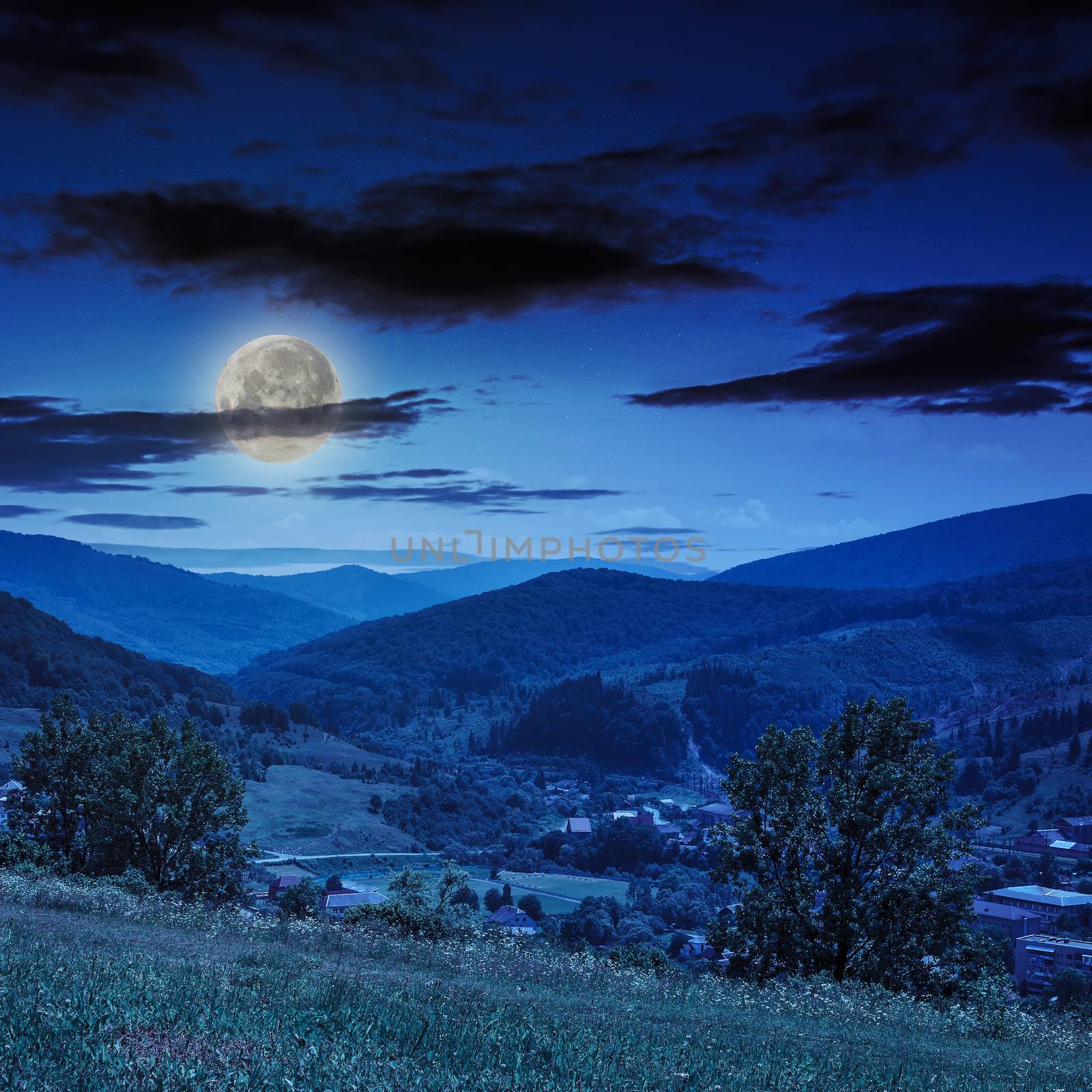 summer landscape. village at the foot of the mountain. forest and valley in mountain at night in moon light