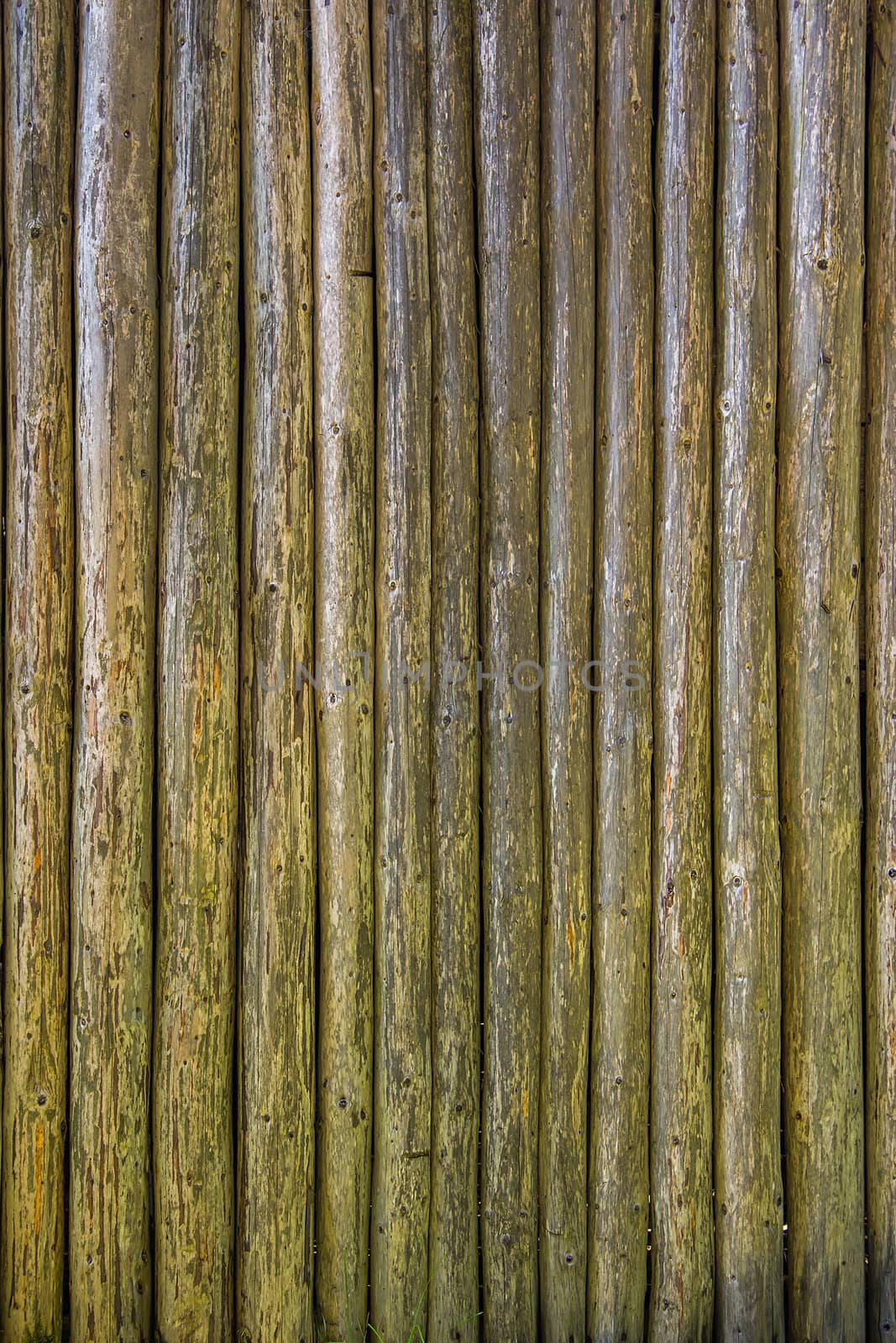 embossed texture of very old and wrinkled wooden rounded planks vertical
