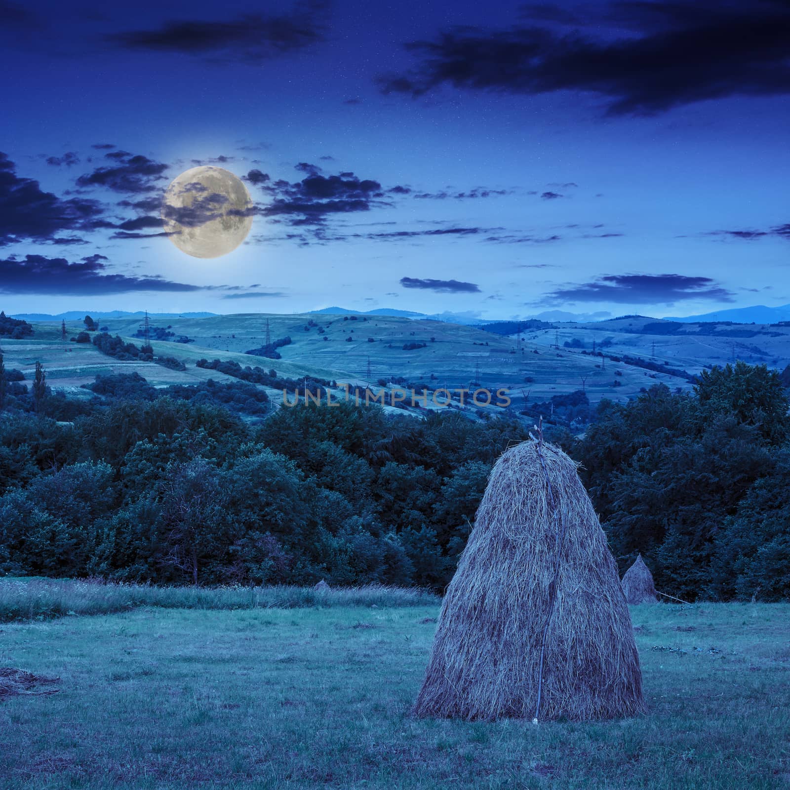 a pair of haystacks and a tree on a green meadow at the foot of the mountain at night in moonlight
