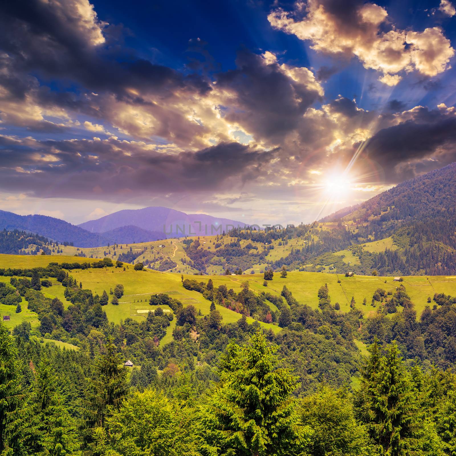 slope of mountain range with coniferous forest and village at sunset