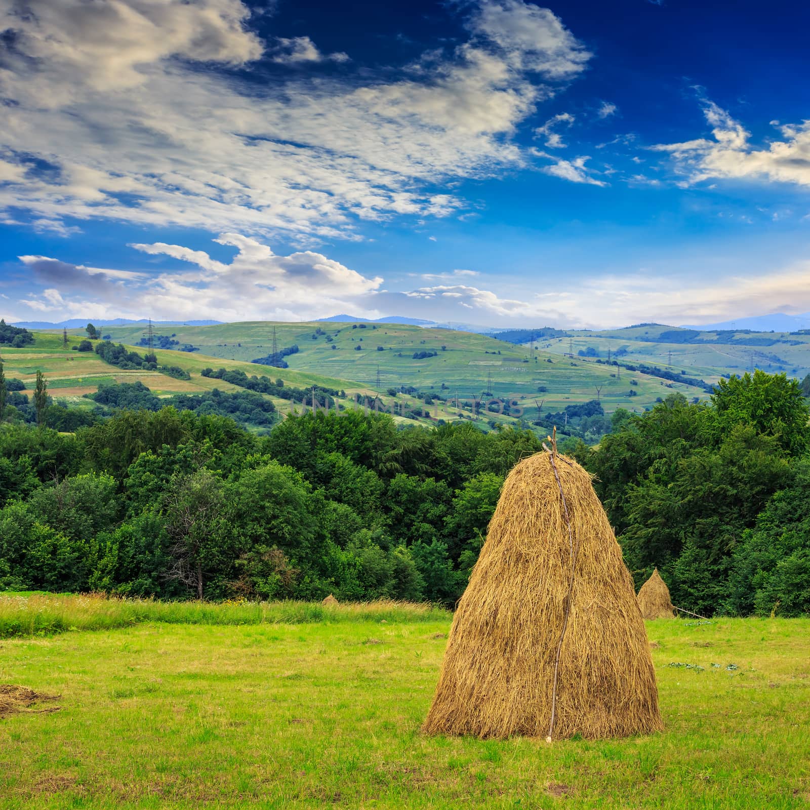 a pair of haystacks and a tree on a green meadow at the foot of the mountain