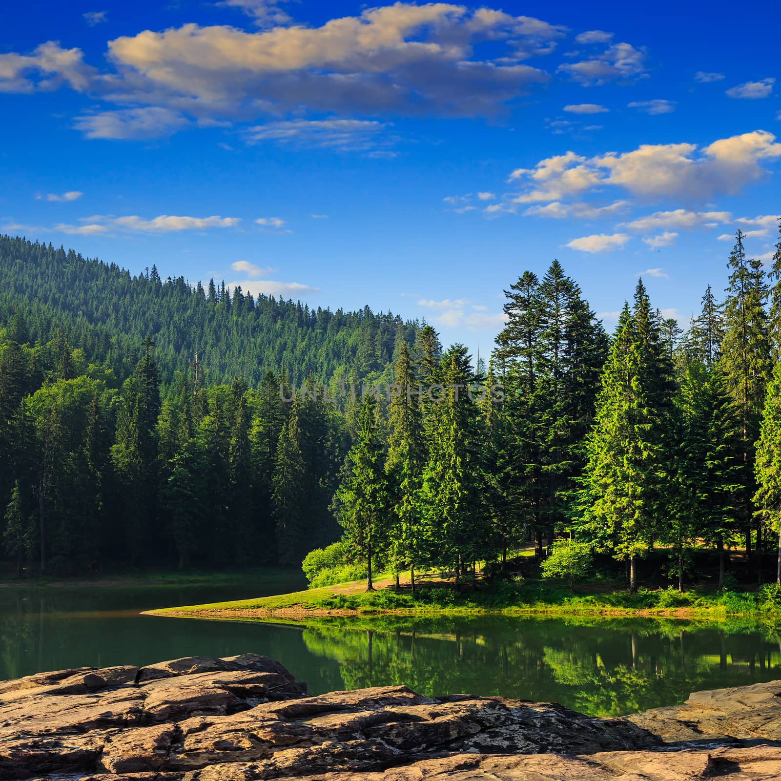 view on lake near the pine forest early in the morning on mountain background