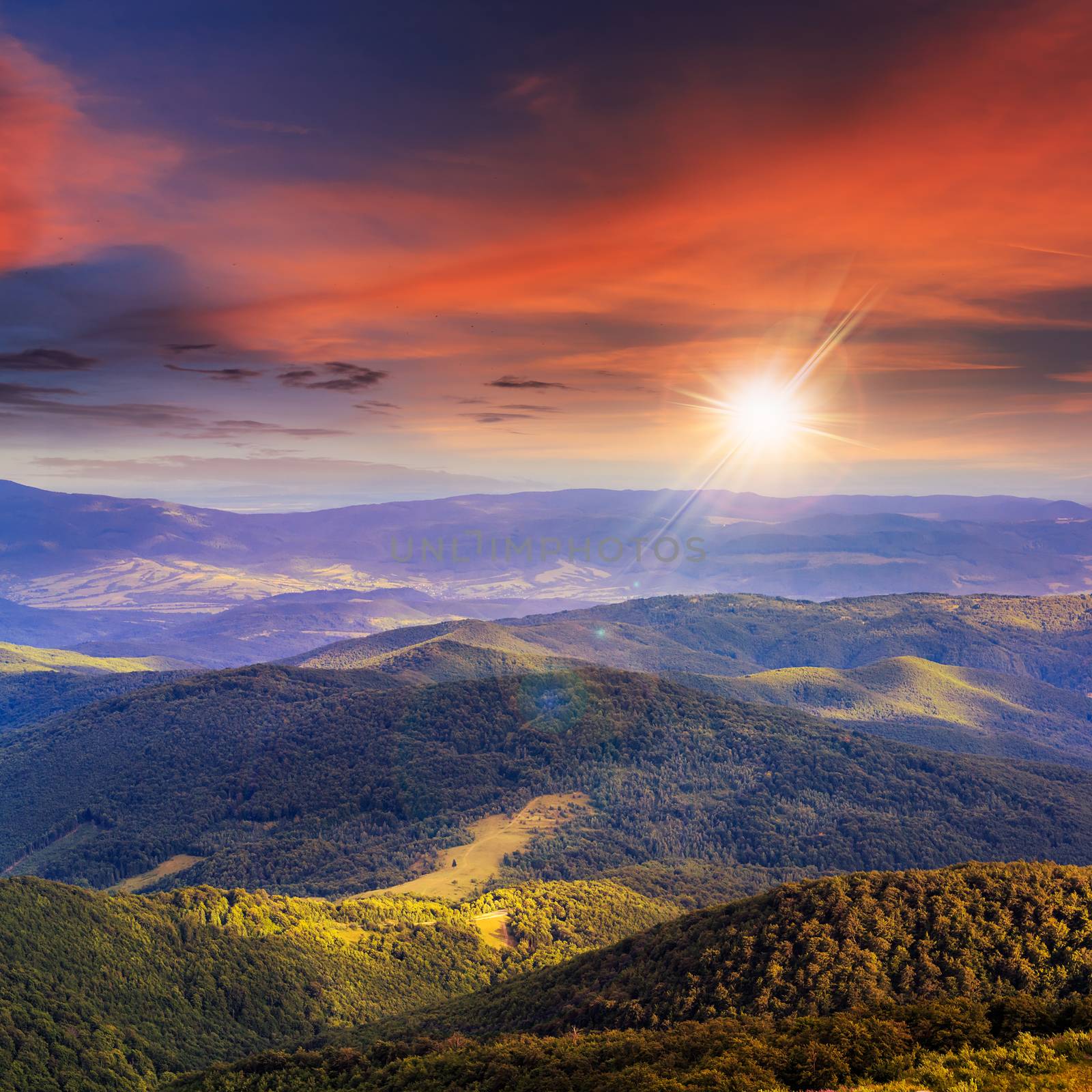 slope of mountain range with coniferous forest and road at sunset