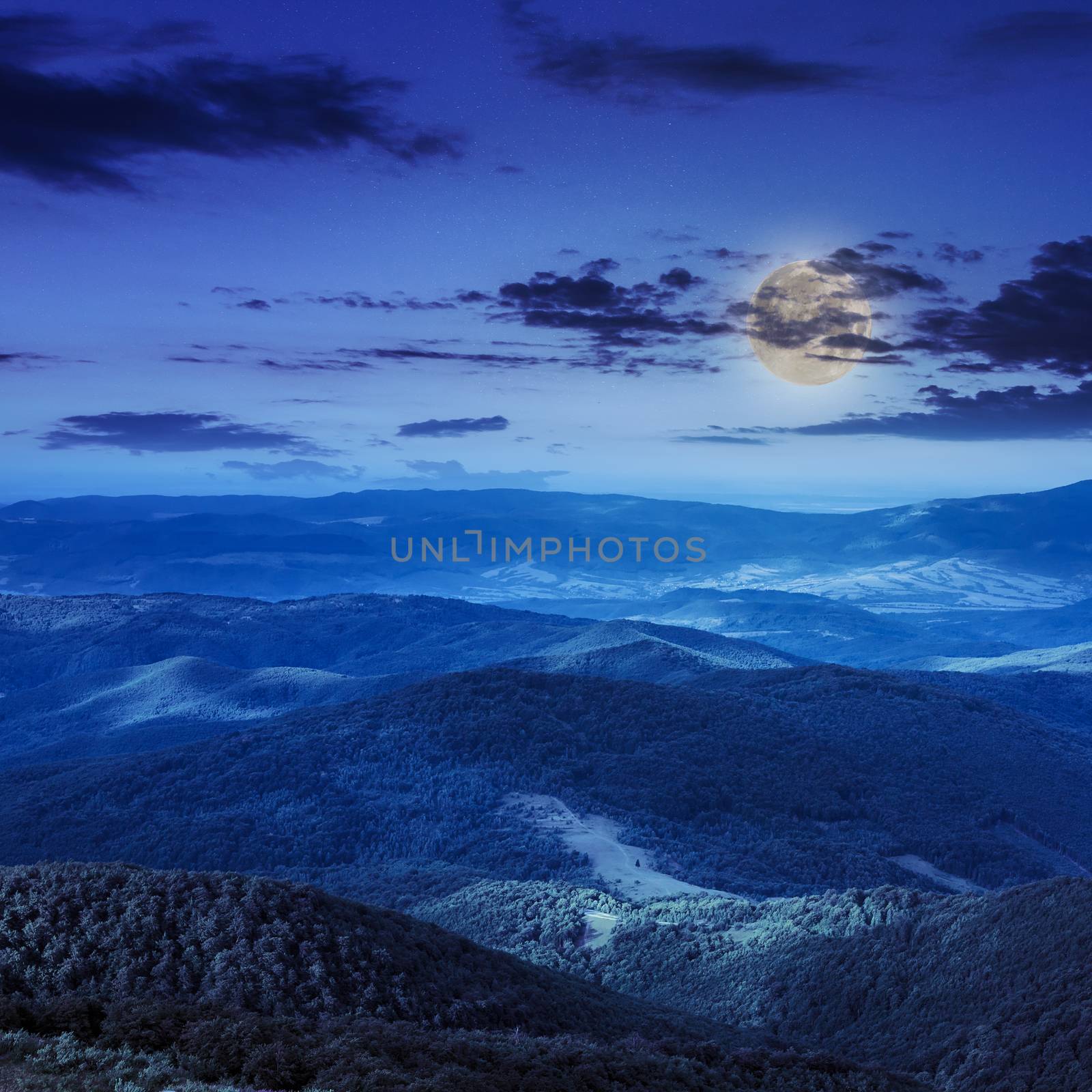 coniferous forest on a  mountain slope at night by Pellinni