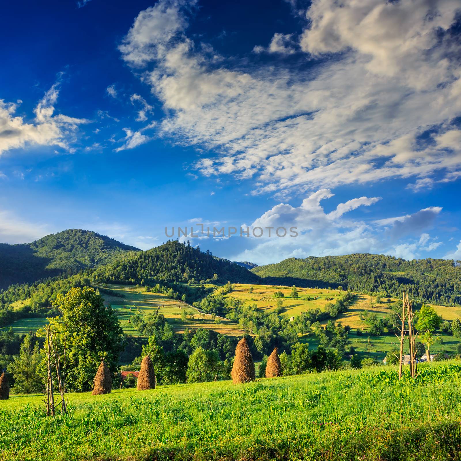 Stack of hay on a green meadow in the mountains in the morning under a blue summer sky