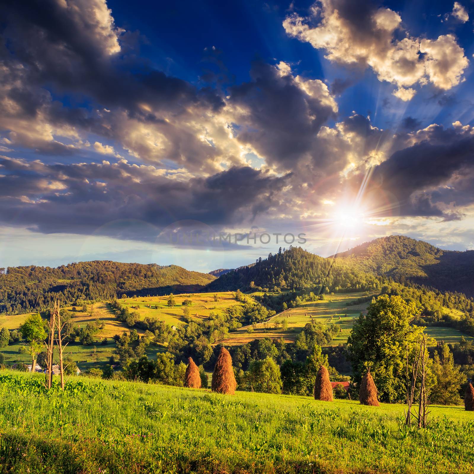 Stack of hay on a green meadow in the mountains in the morning under a blue summer sky at sunset