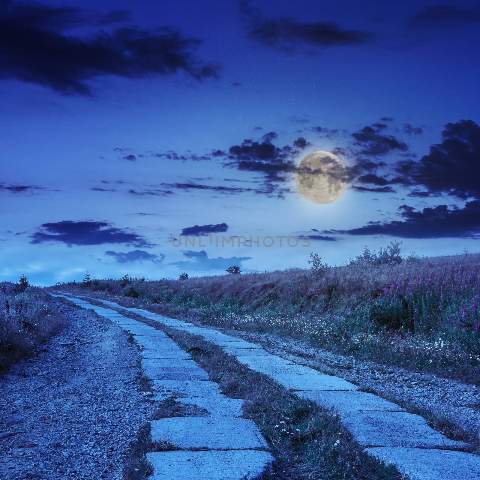 road of concrete slabs through the field turns uphill to the night sky in moon light