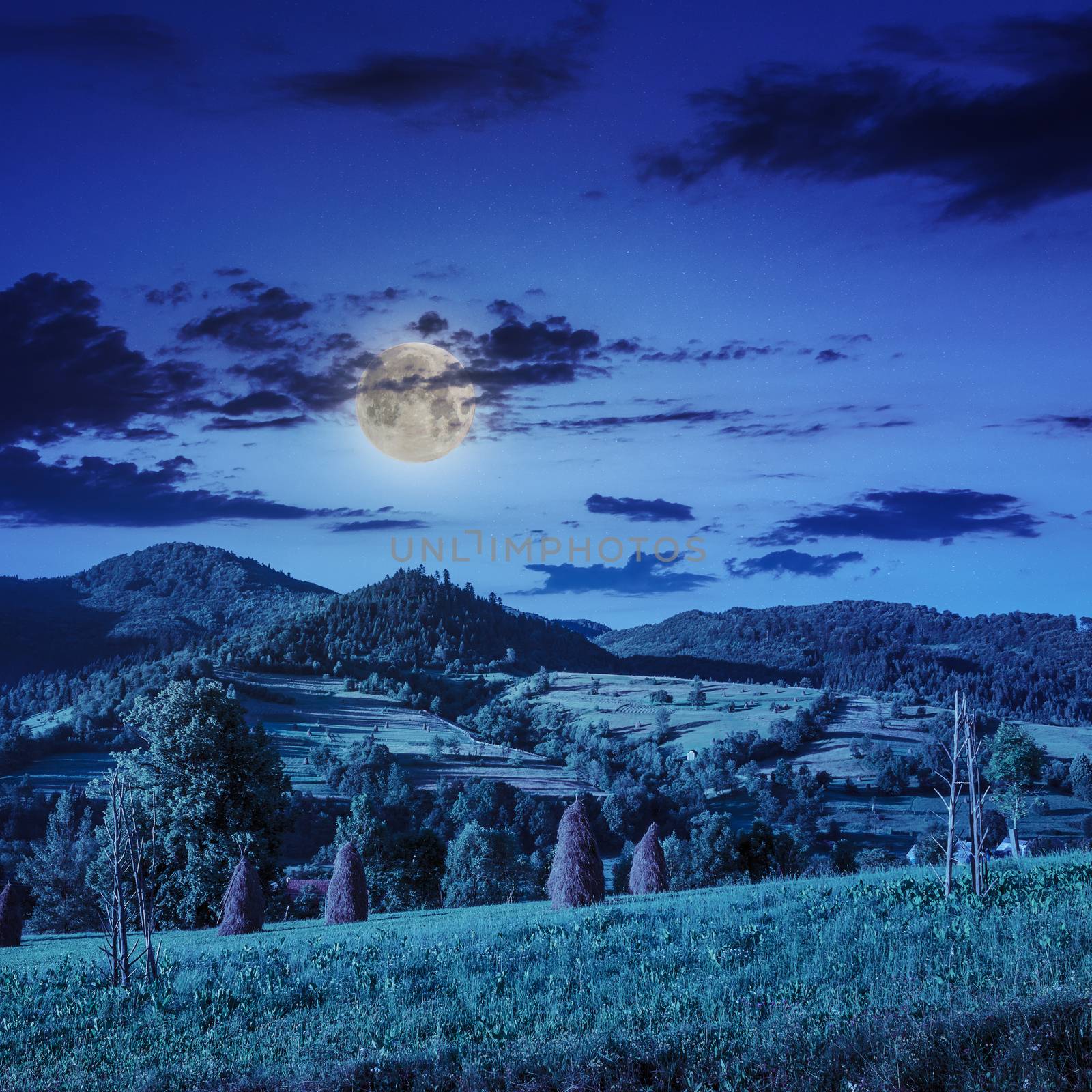 Stack of hay on a green meadow in the mountains in the morning under a blue summer sky at night in moon light