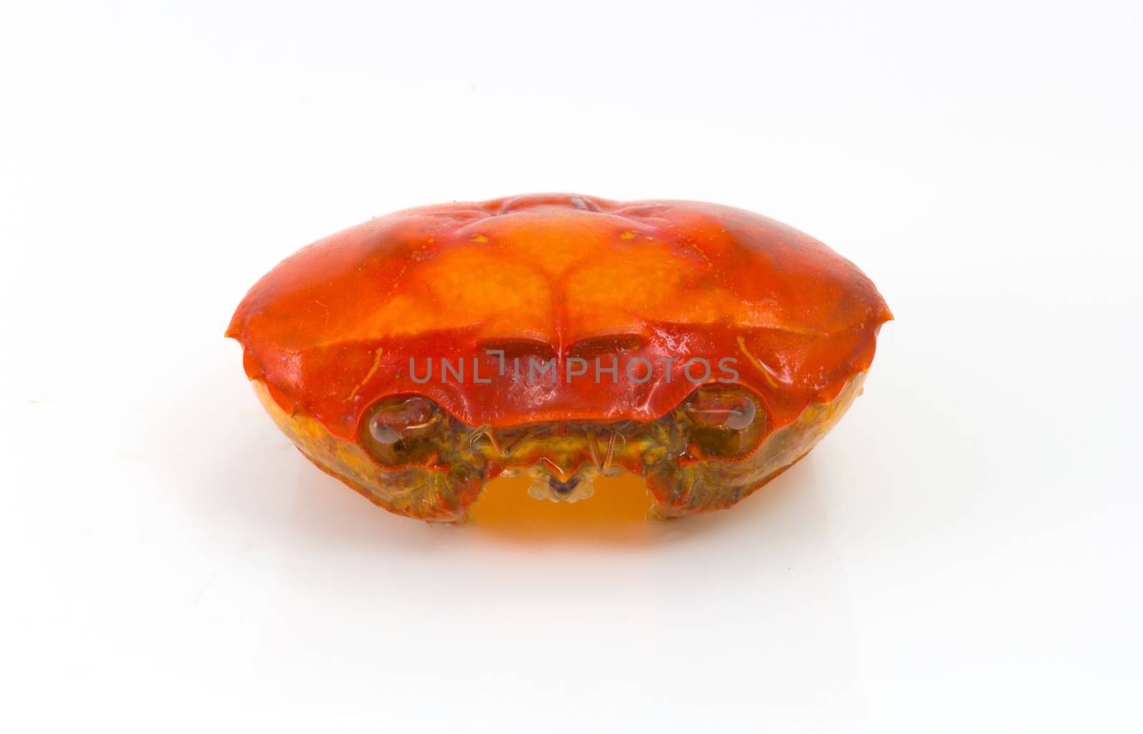 boiled crab  crab shell isolated on white