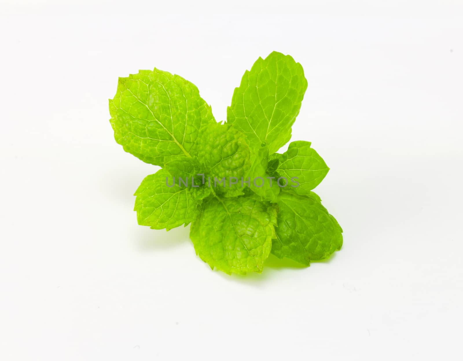 fresh mint isolated on white by chingraph