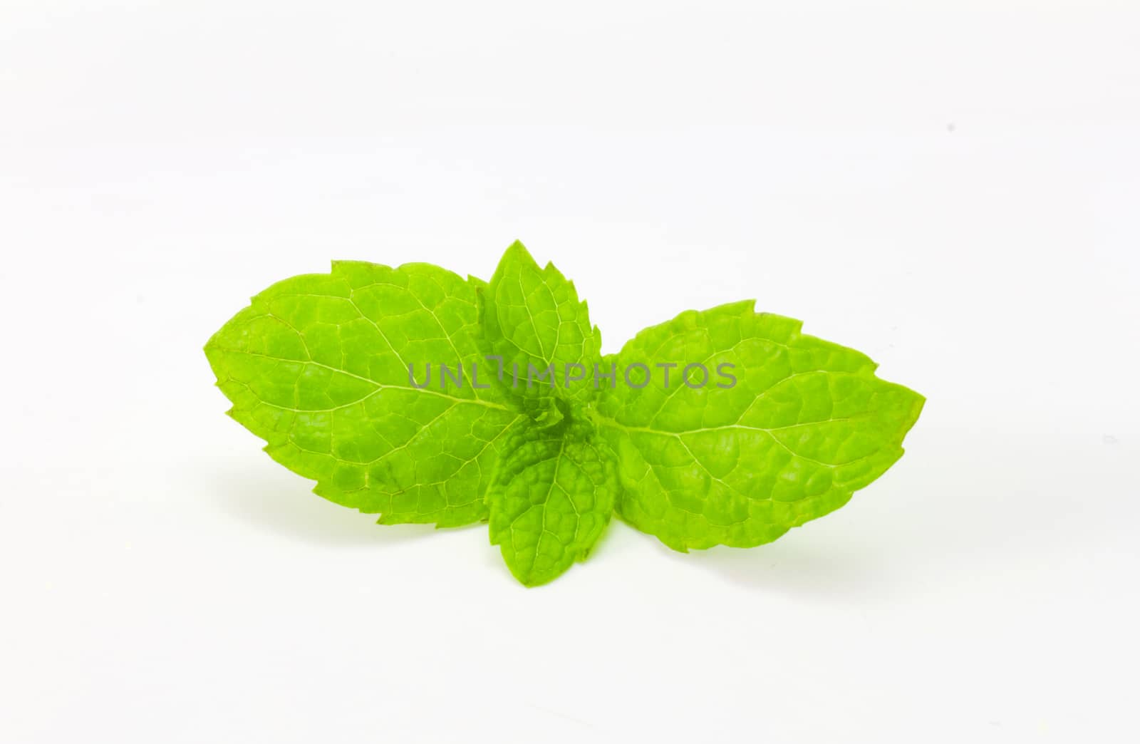 fresh mint isolated on white by chingraph