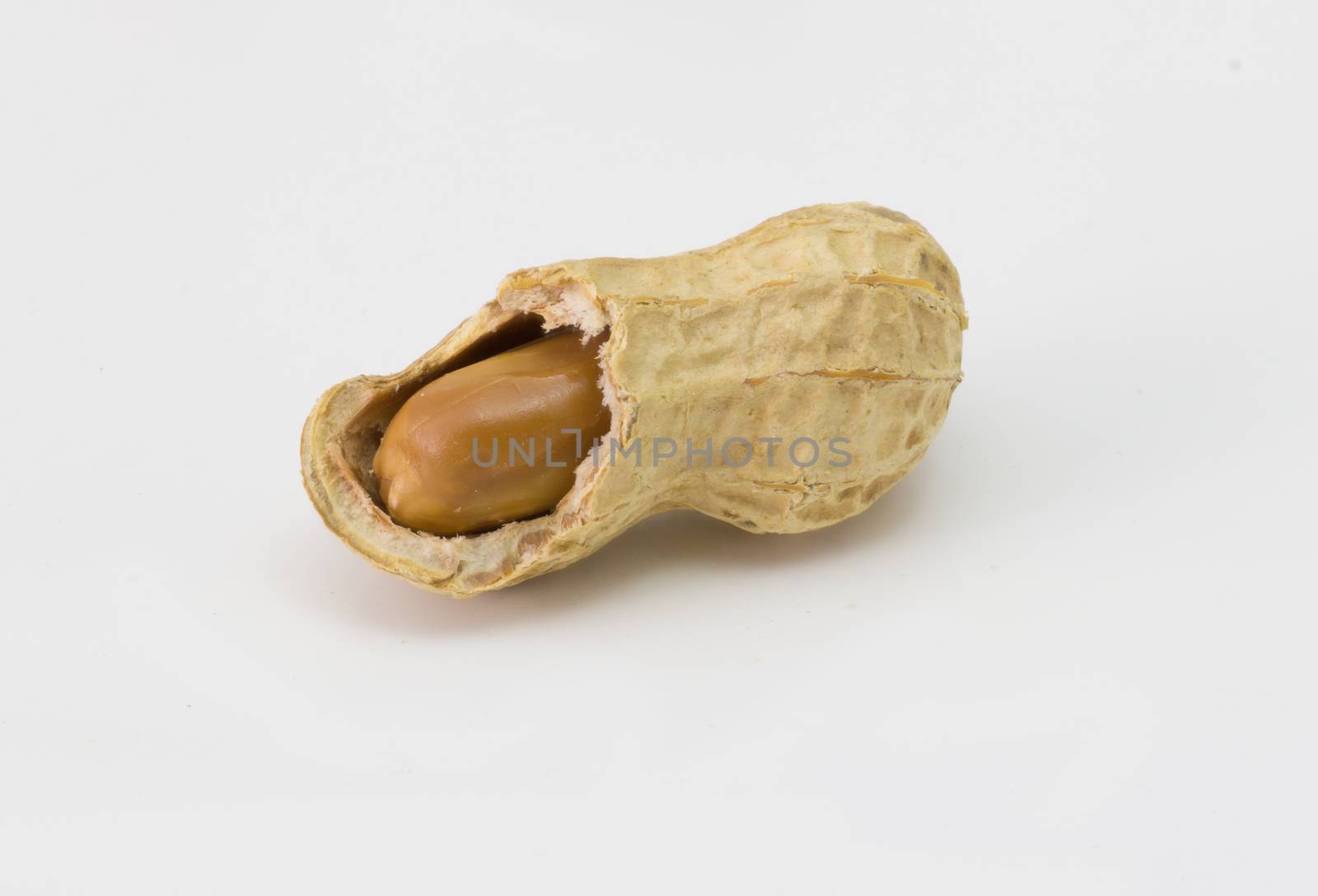 peanut isolated on white, groundnut ,dry peanut by chingraph