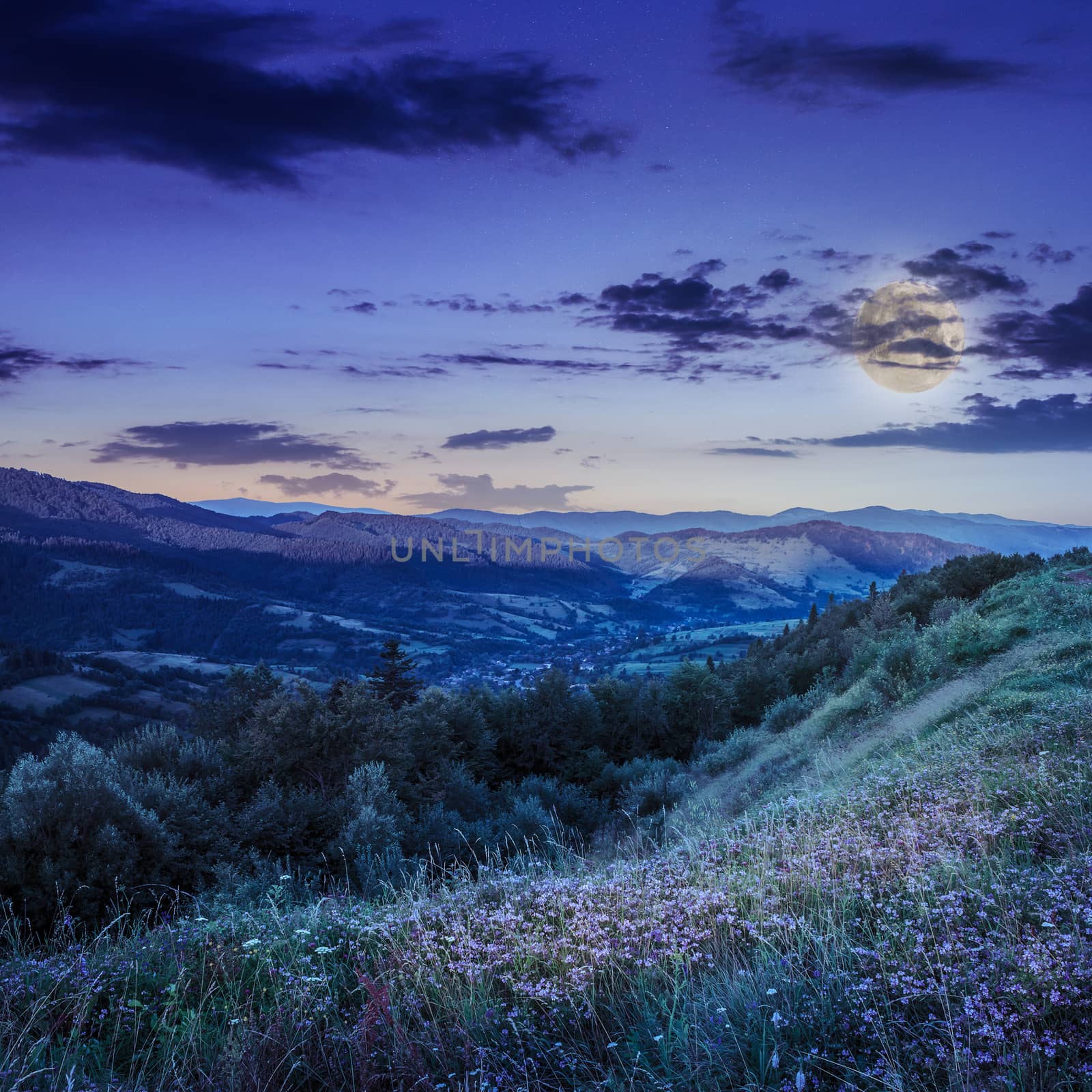 summer landscape. village on the hillside. forest on the mountain light fall on clearing on mountains at night in moon light