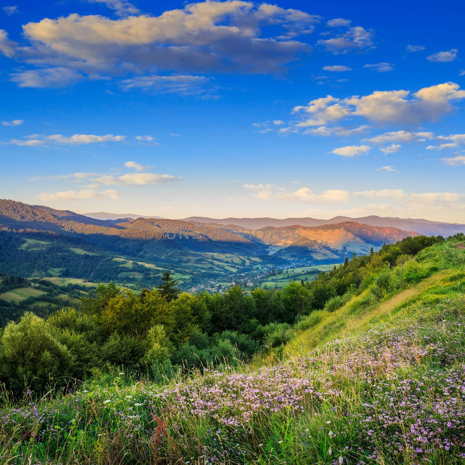 village between hillside meadow with forest in mountain by Pellinni