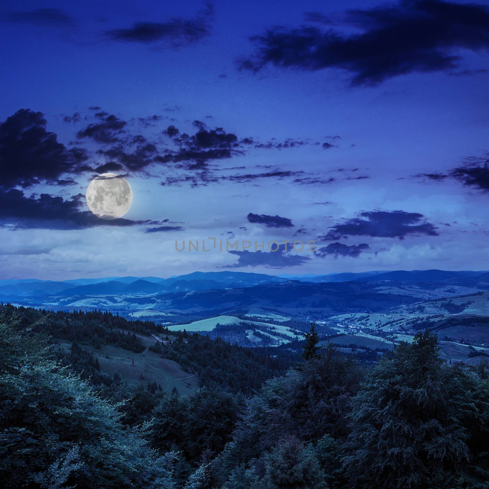 slope of mountain range with coniferous forest and village at night in moon light