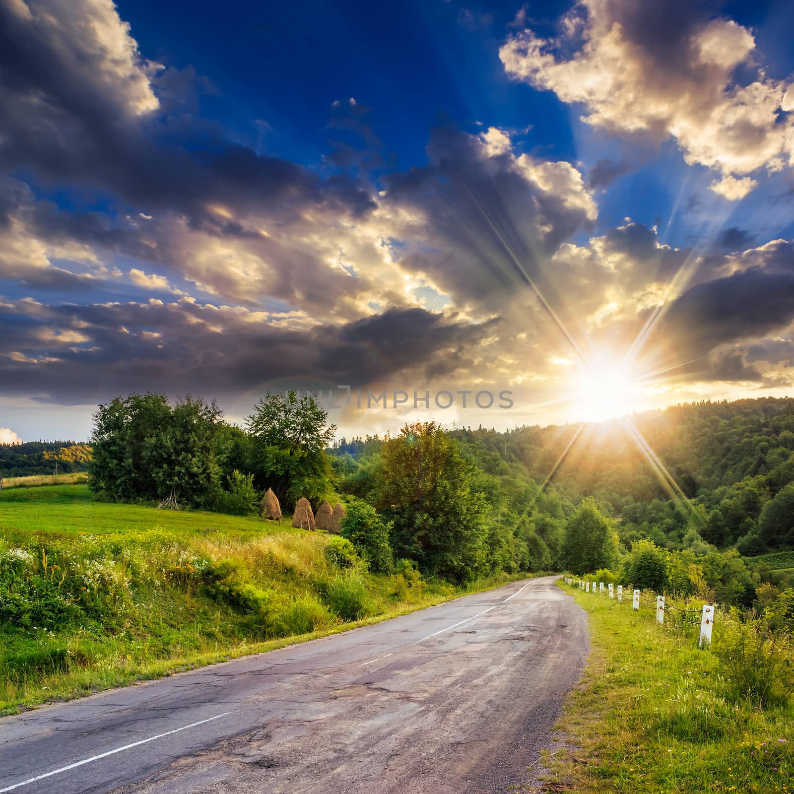 asphalt road going off into the distance on the left, passes through the green shaded forest at sunset