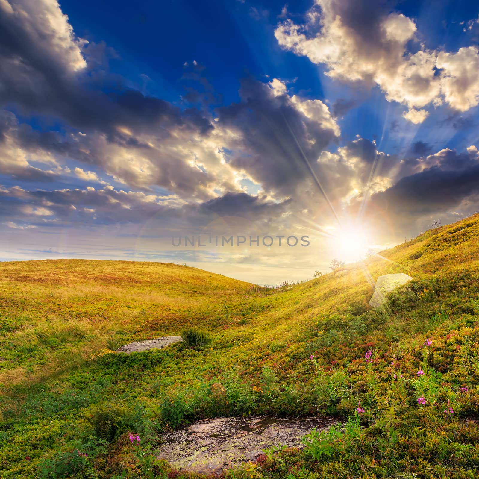 light on stone mountain slope with forest at sunset by Pellinni