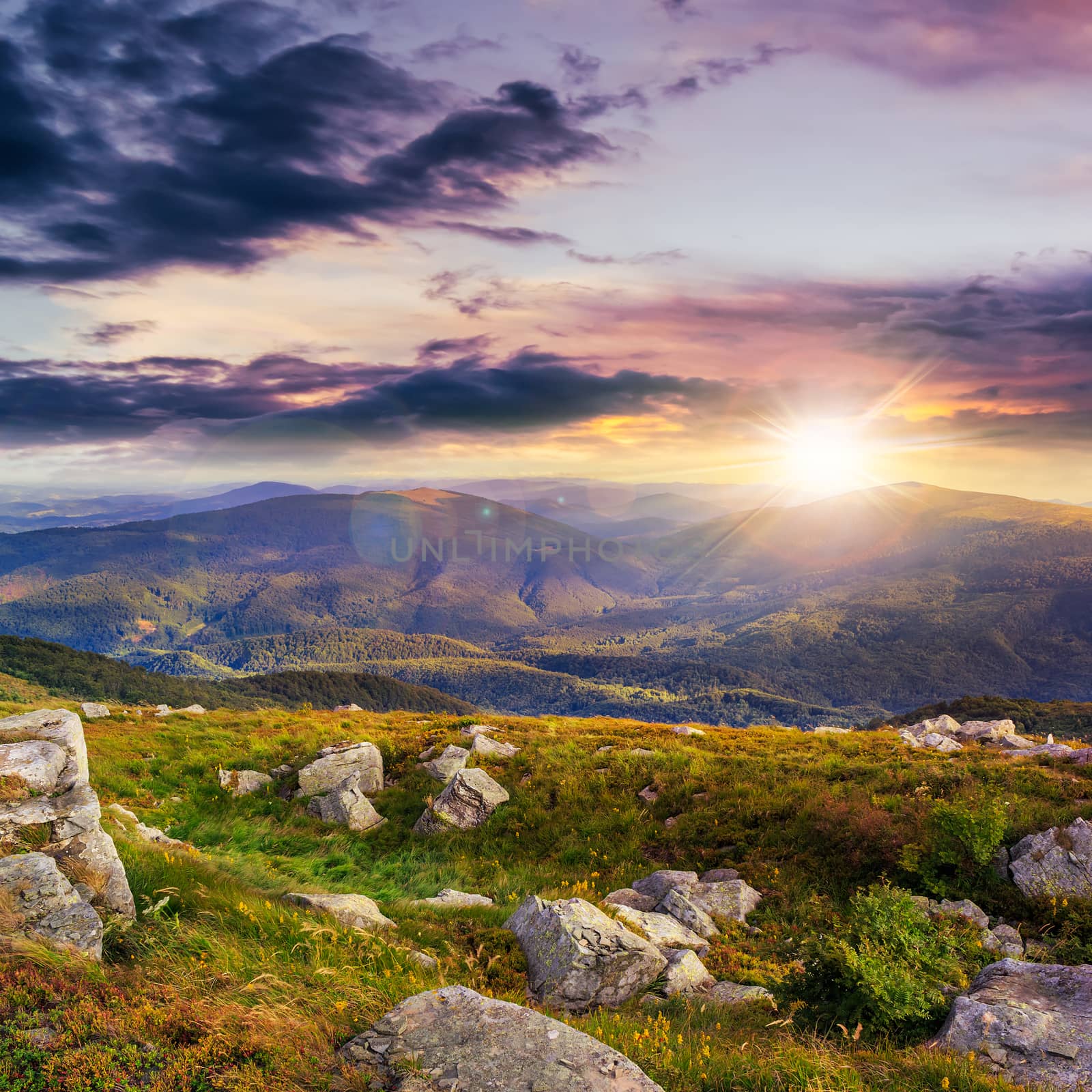 mountain landscape. valley with stones on the hillside. forest on the mountain under the beam of light falls on a clearing at the top of the hill. at sunset