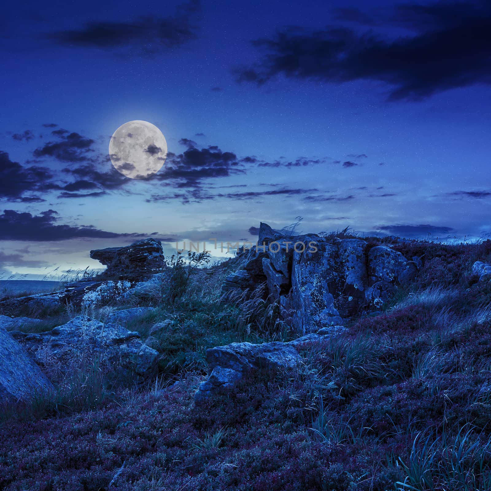 stones on the hillside at night by Pellinni