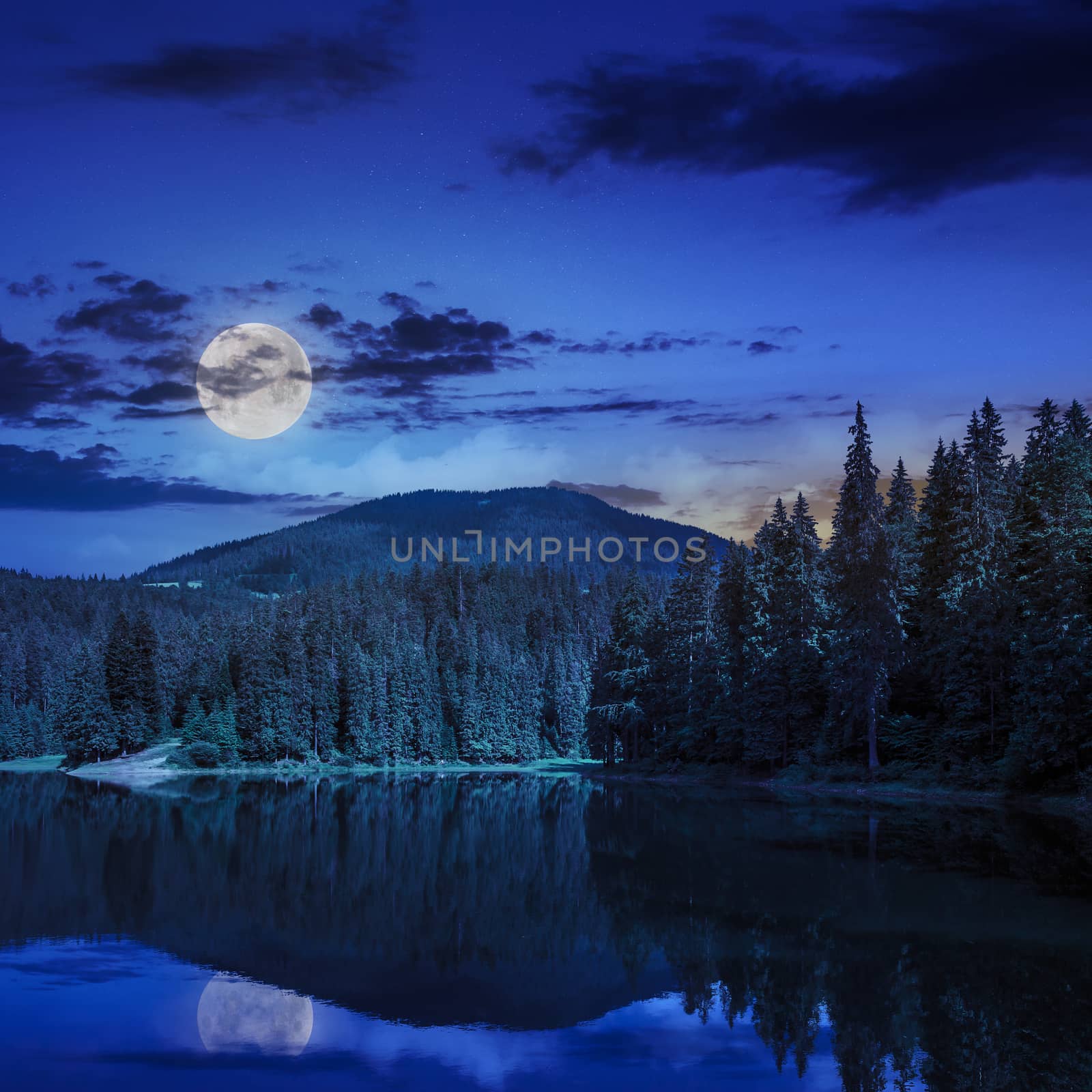 view on lake near the pine forest  on mountain background at night in moon light