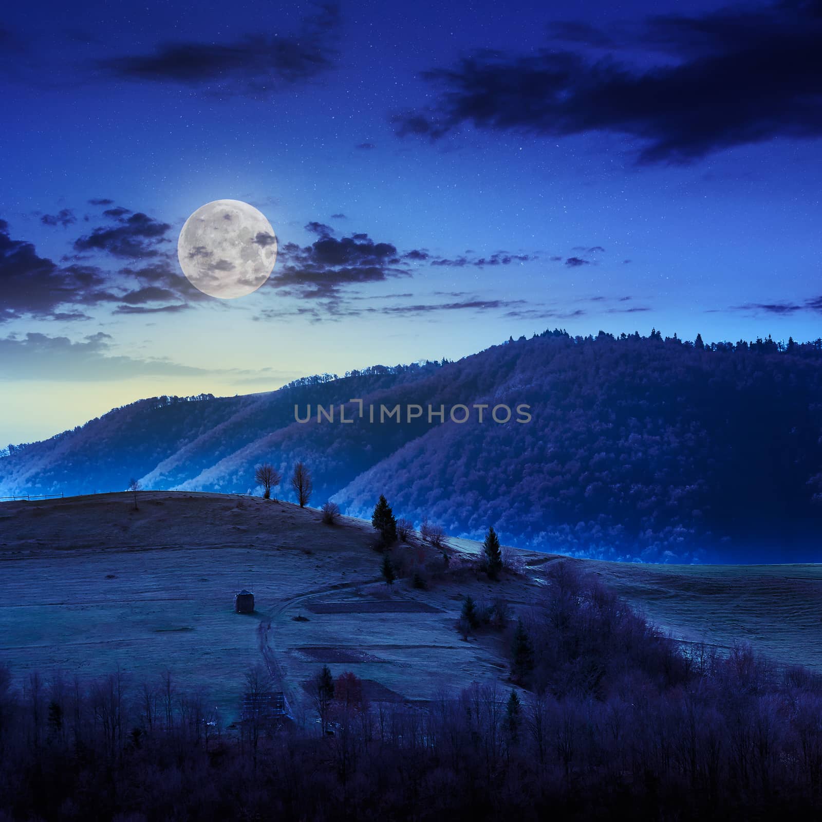 mountain summer landscape. pine trees near meadow and forest on hillside under  sky with clouds at night in moon light