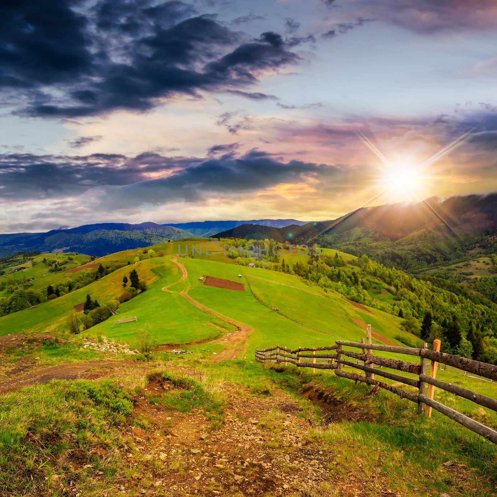 fence on hillside meadow in mountain at sunset by Pellinni