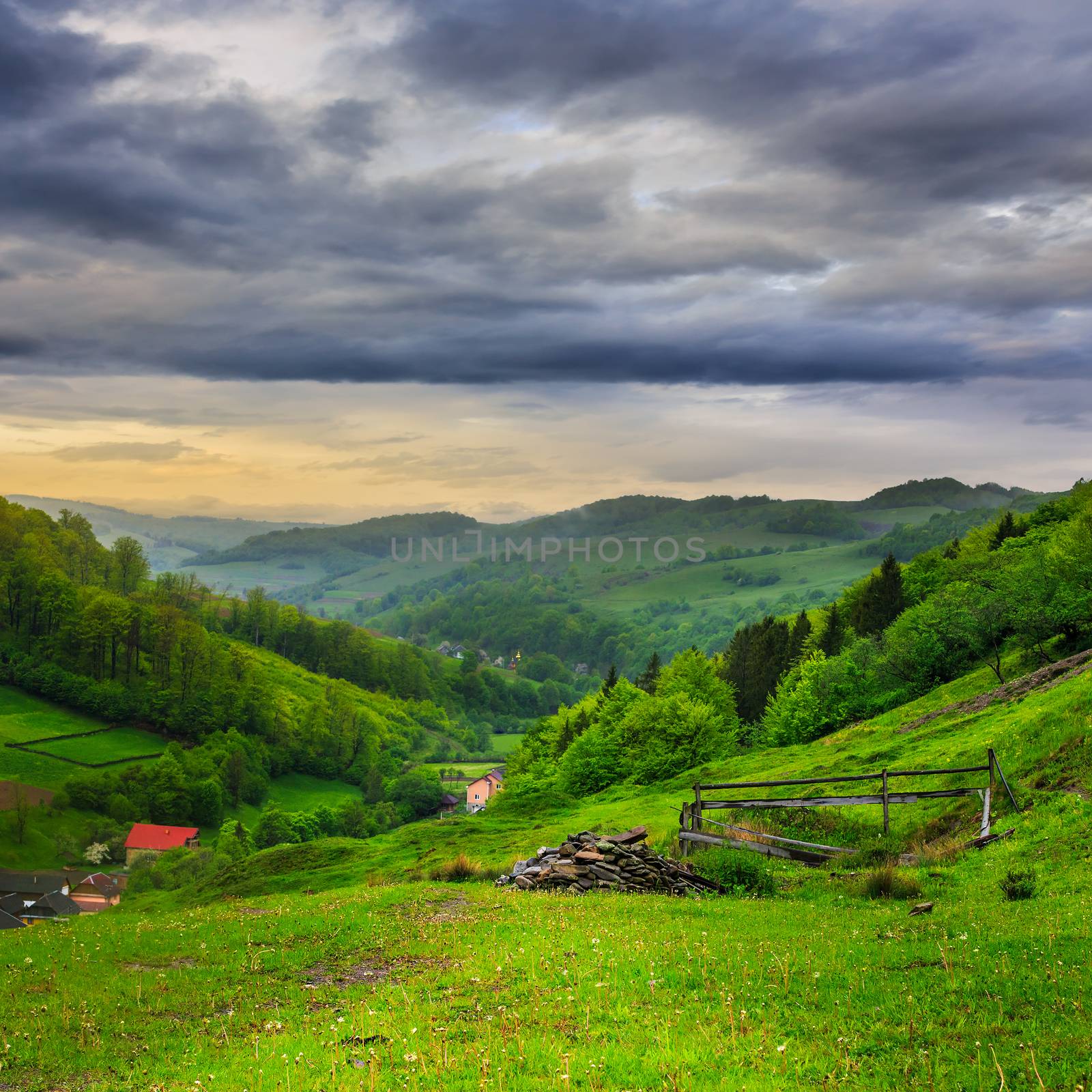 mountain summer landscape. trees and fence near meadow on hillside under  sky with clouds at sunrise
